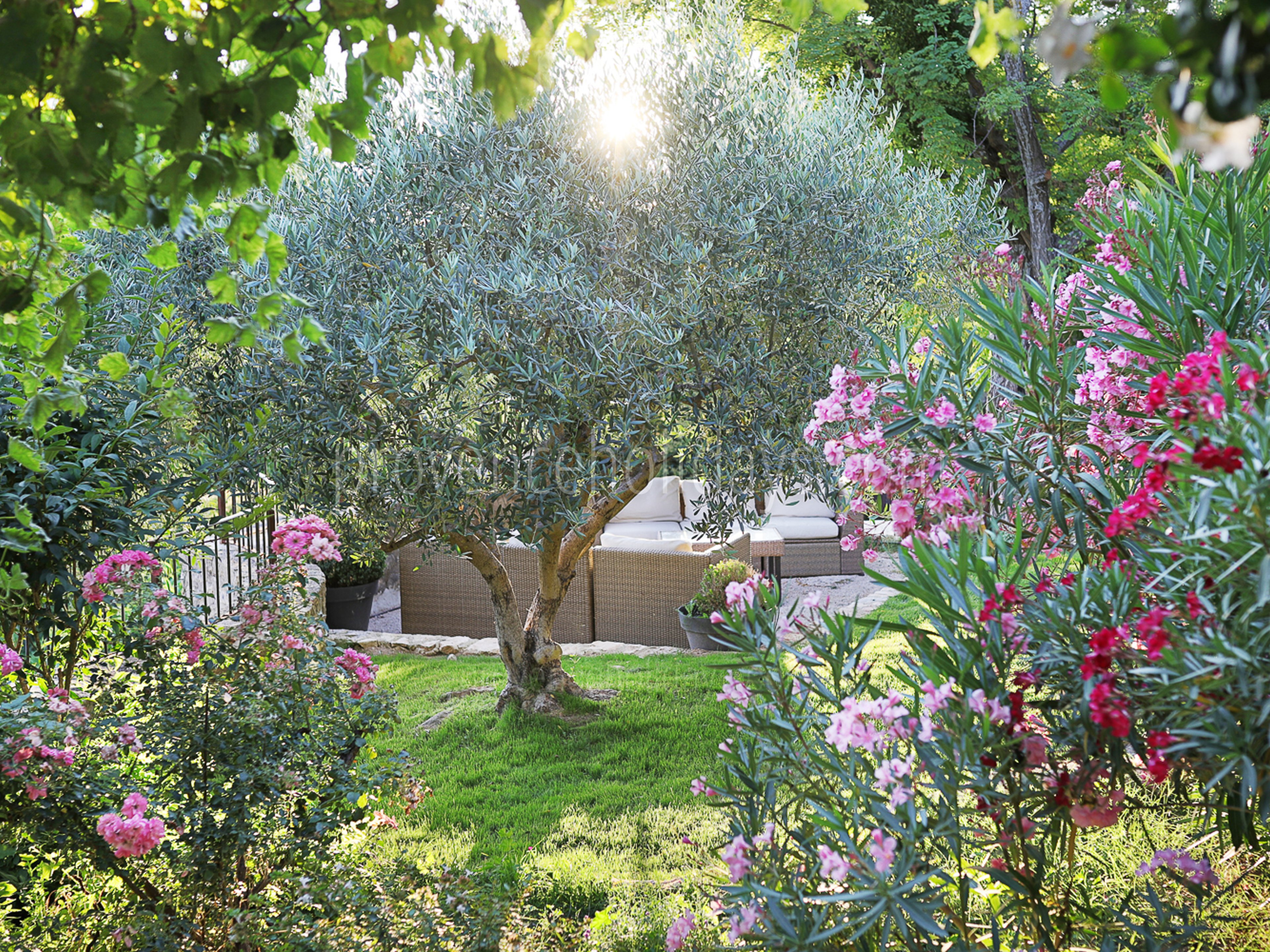 12 - Mas Castillon: Villa: Exterior