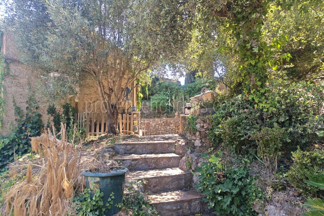 16 - Provenzalisches Haus in Grimaud: Villa: Exterior