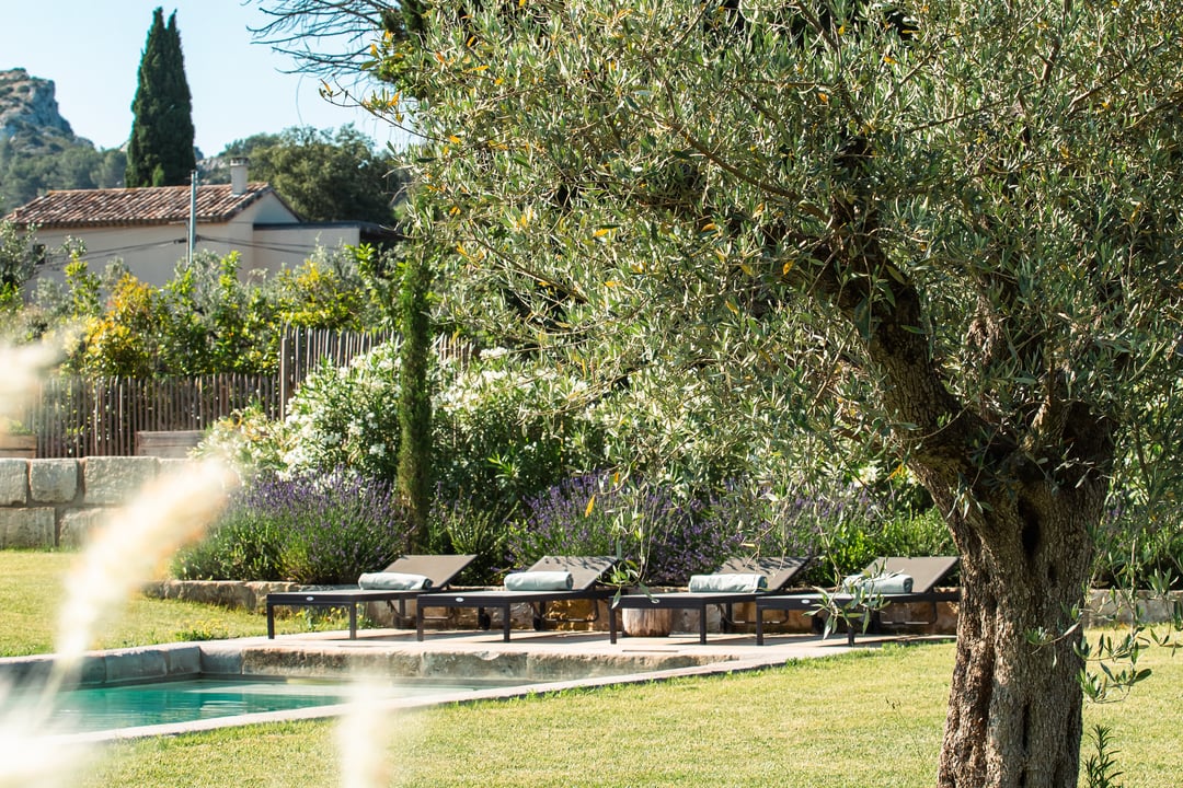 Schitterende gerenoveerde boerderij met verwarmd zwembad in Saint Remy de Provence 6 - Mas des Lumières: Villa: Exterior