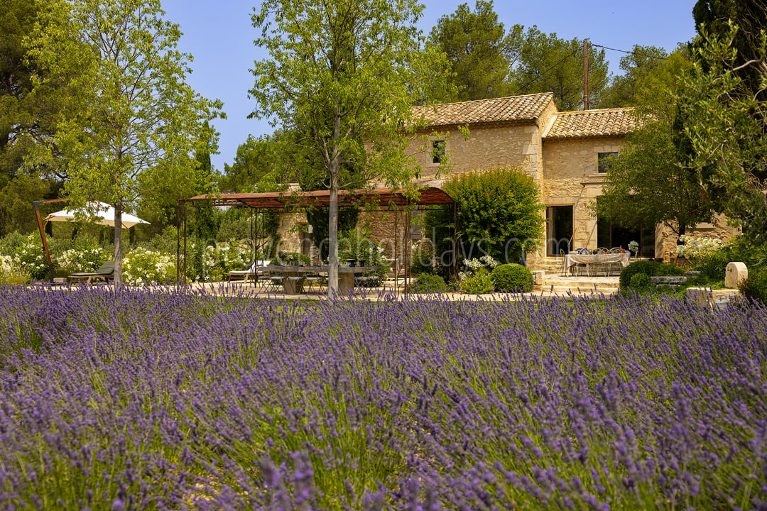 42 - Le Mas Secret: Villa: Exterior