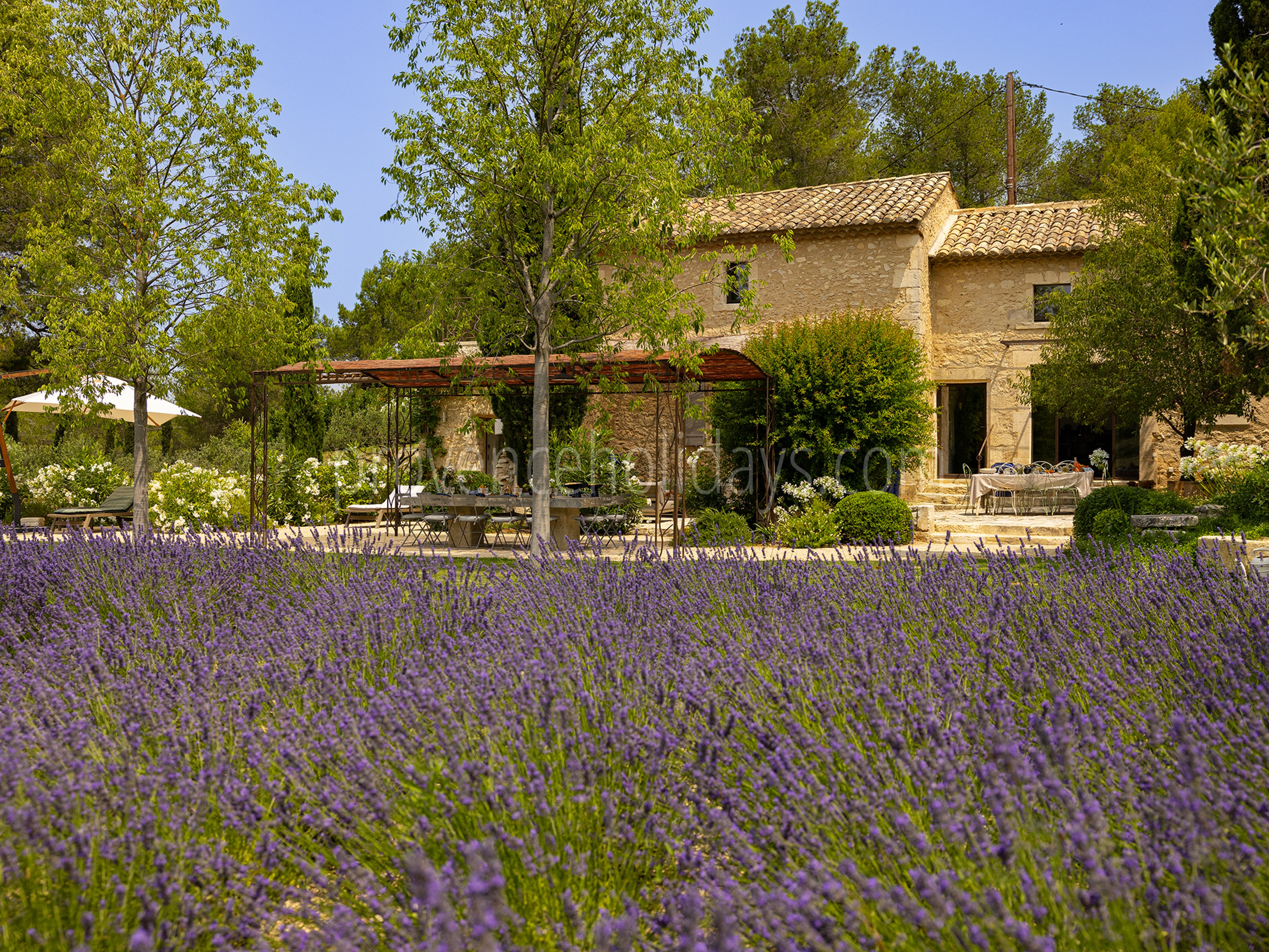 42 - Le Mas Secret: Villa: Exterior