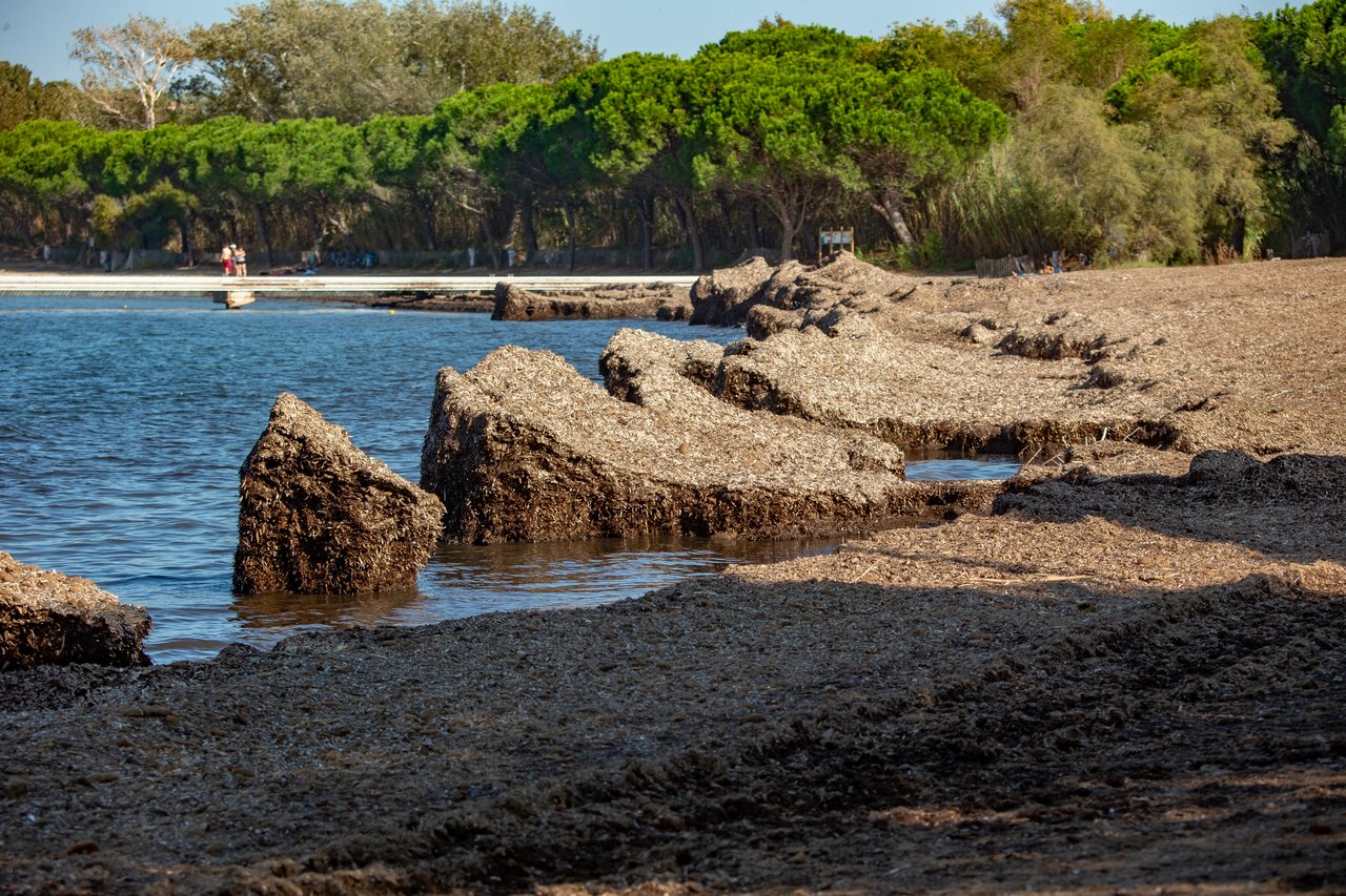 Sentier de la baie des canoubiers