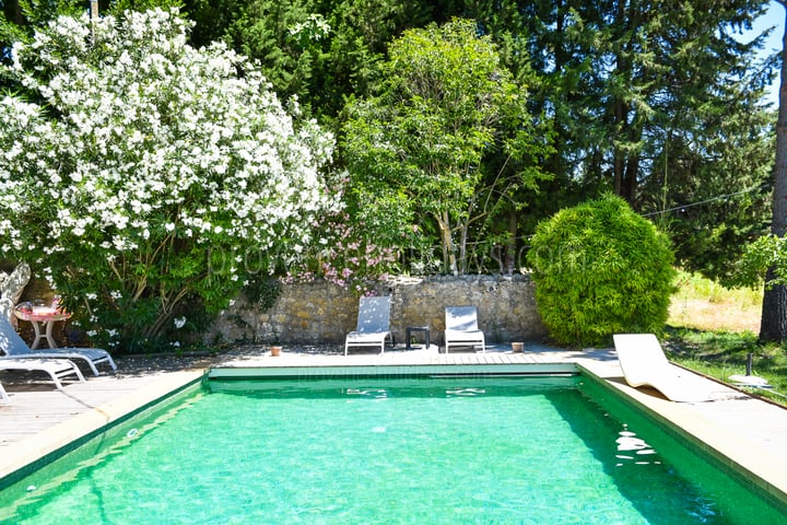 34 - Mas du Vaucluse: Villa: Pool