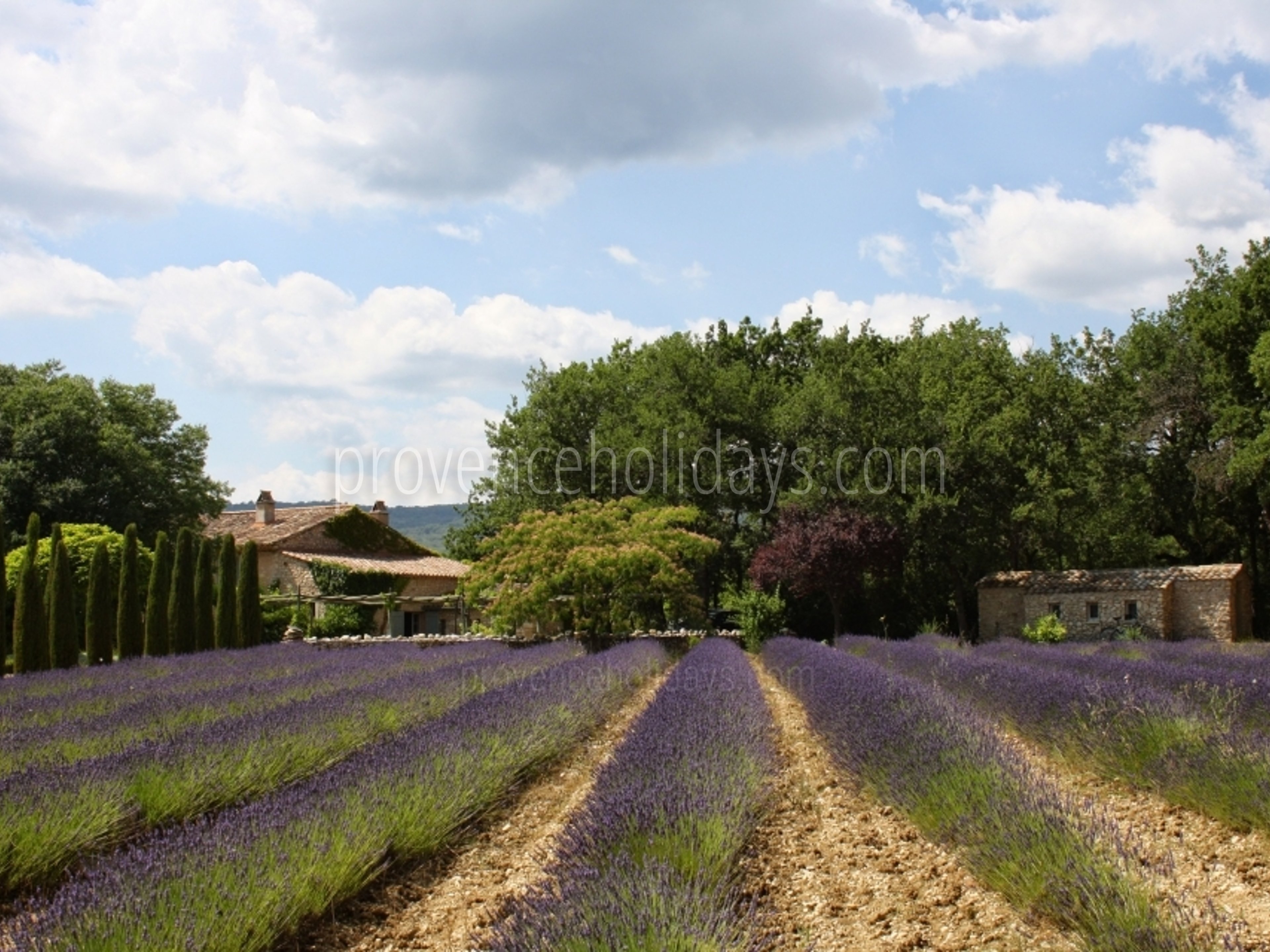 59 - Mas des Lavandes: Villa: Exterior