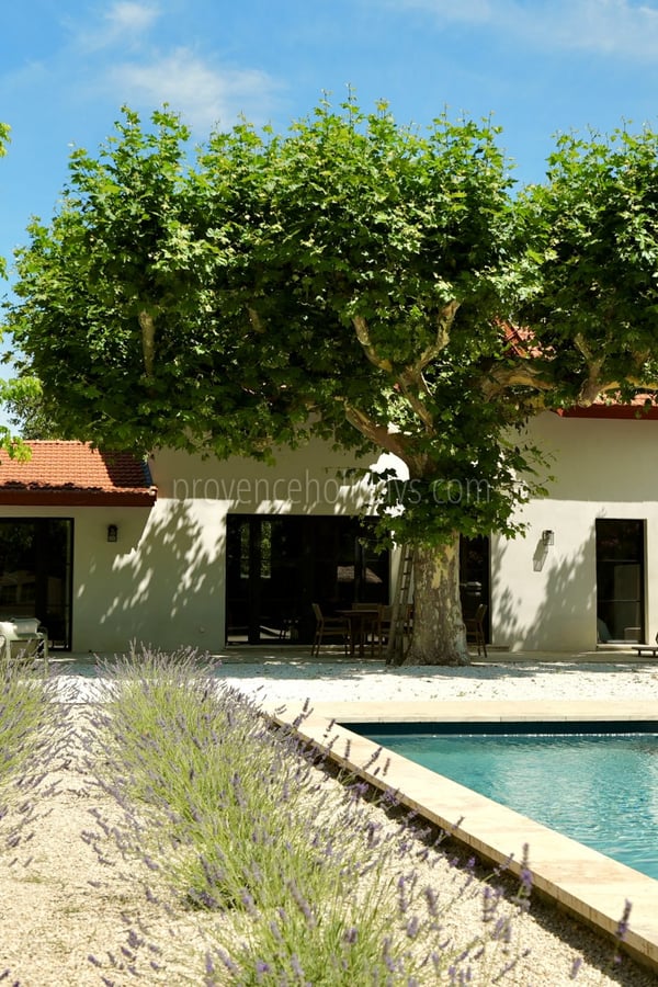 1 - Villa Romana: Villa: Exterior