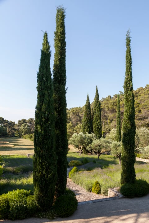 16 - Mas du Pianiste: Villa: Exterior