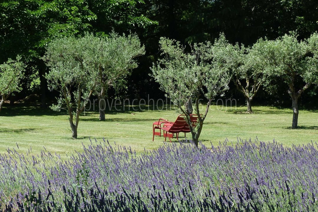 7 - Domaine d\'Uzès: Villa: Exterior