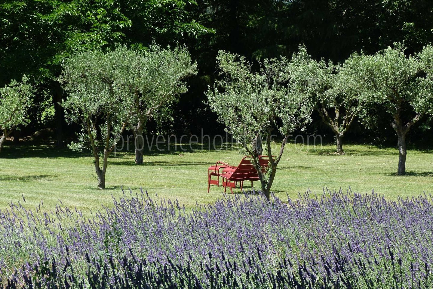 7 - Domaine d\'Uzès: Villa: Exterior