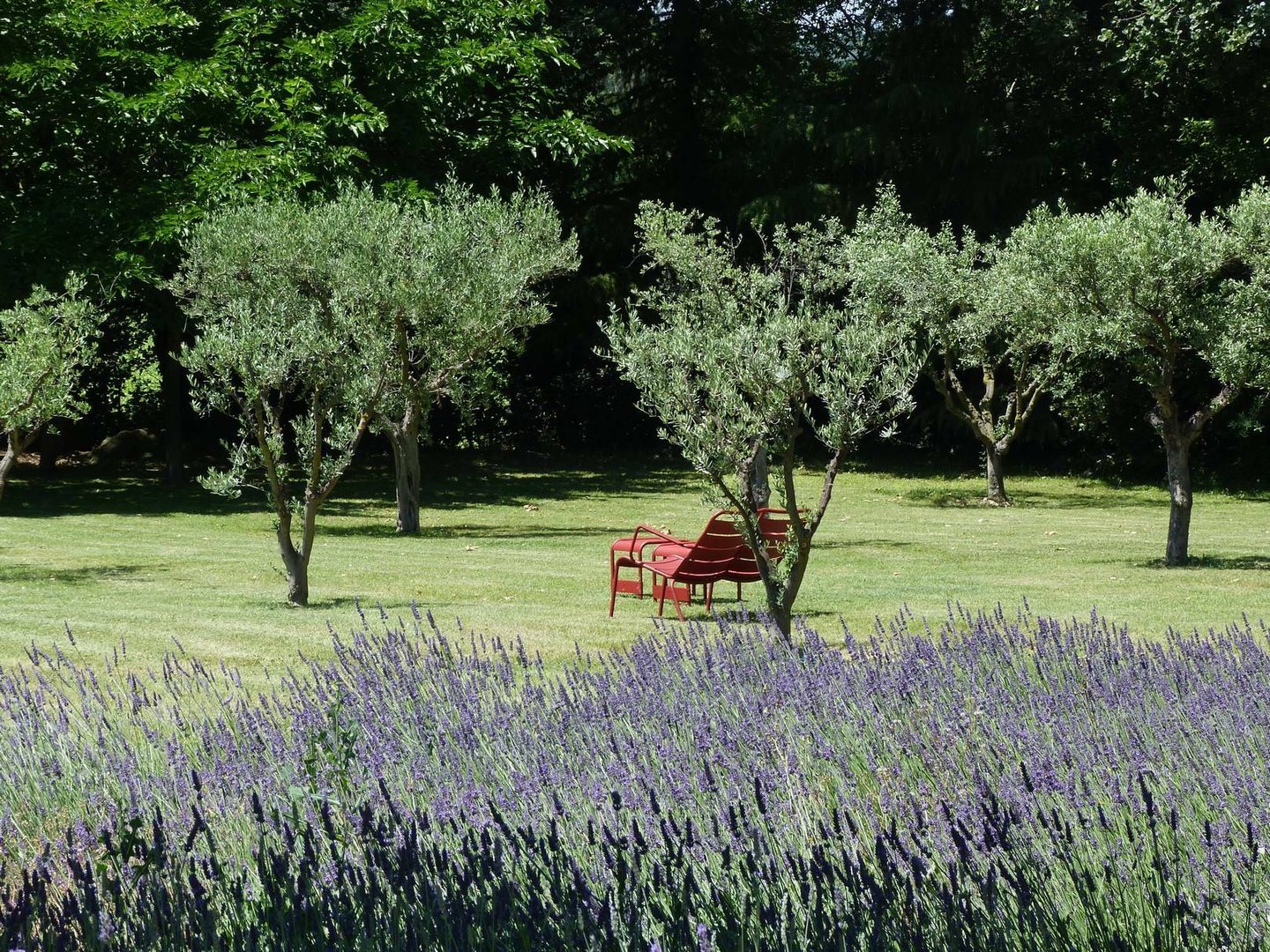 6 - Domaine d\'Uzès: Villa: Exterior