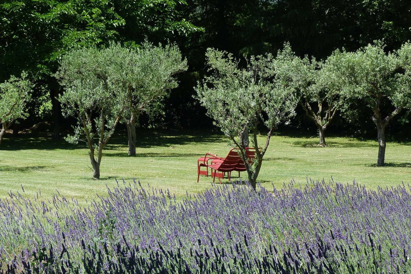 6 - Domaine d\'Uzès: Villa: Exterior