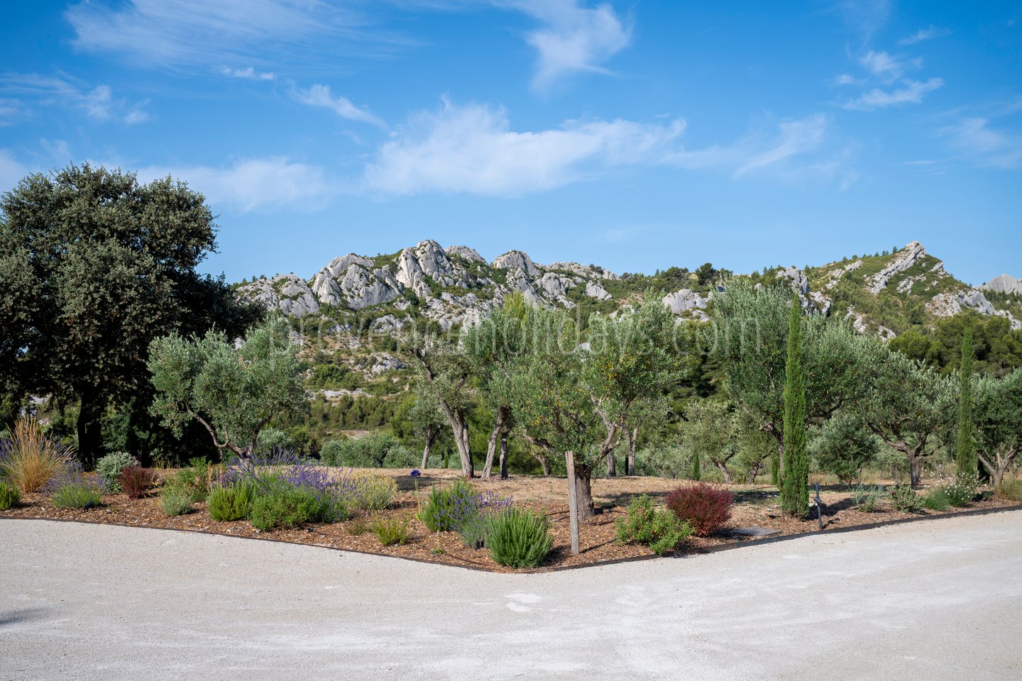 99 - Le Loup des Alpilles: Villa: Exterior