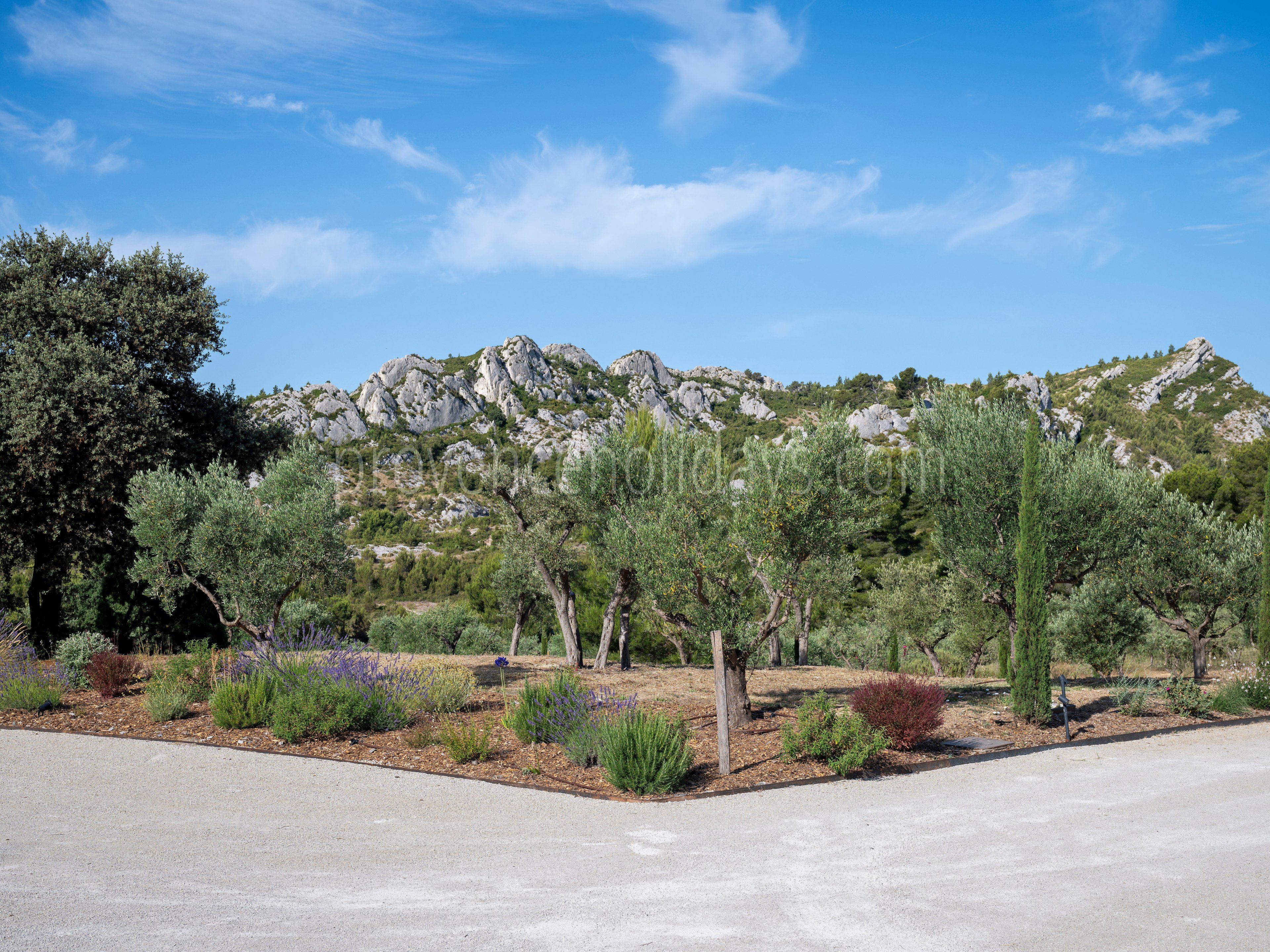 99 - Le Loup des Alpilles: Villa: Exterior