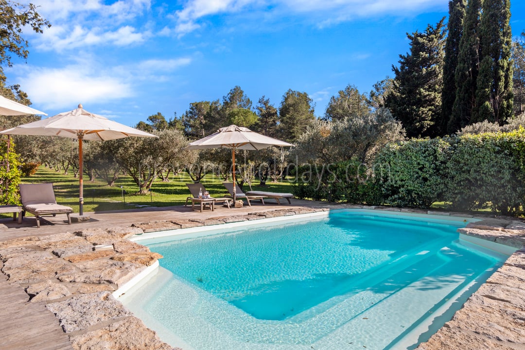 5 - Mazet Olea: Villa: Pool