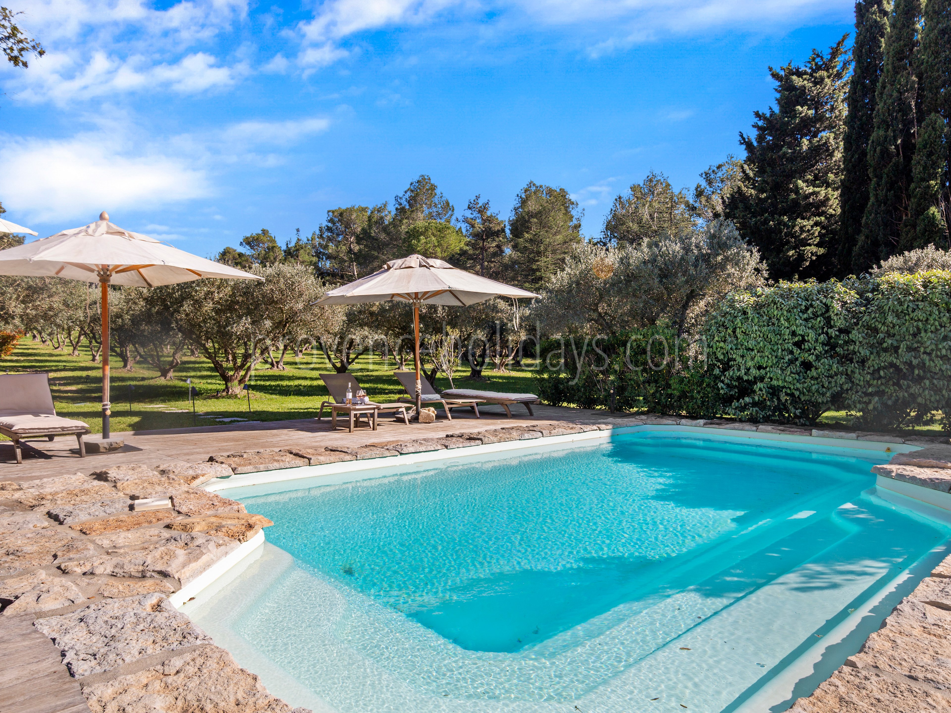 5 - Mazet Olea: Villa: Pool