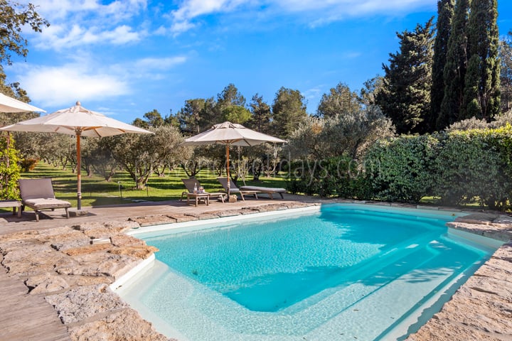5 - Mazet Olea: Villa: Pool