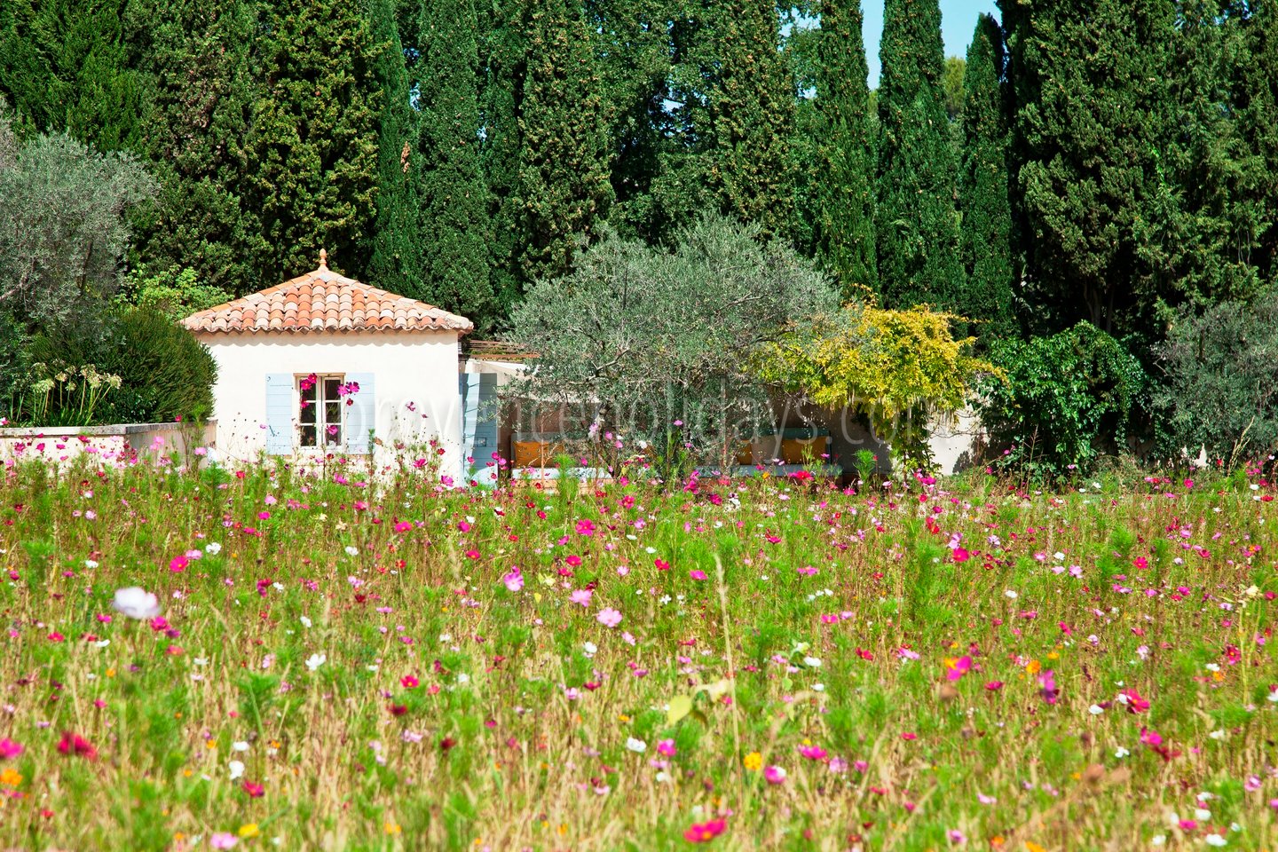 18 - Mas Provence: Villa: Exterior