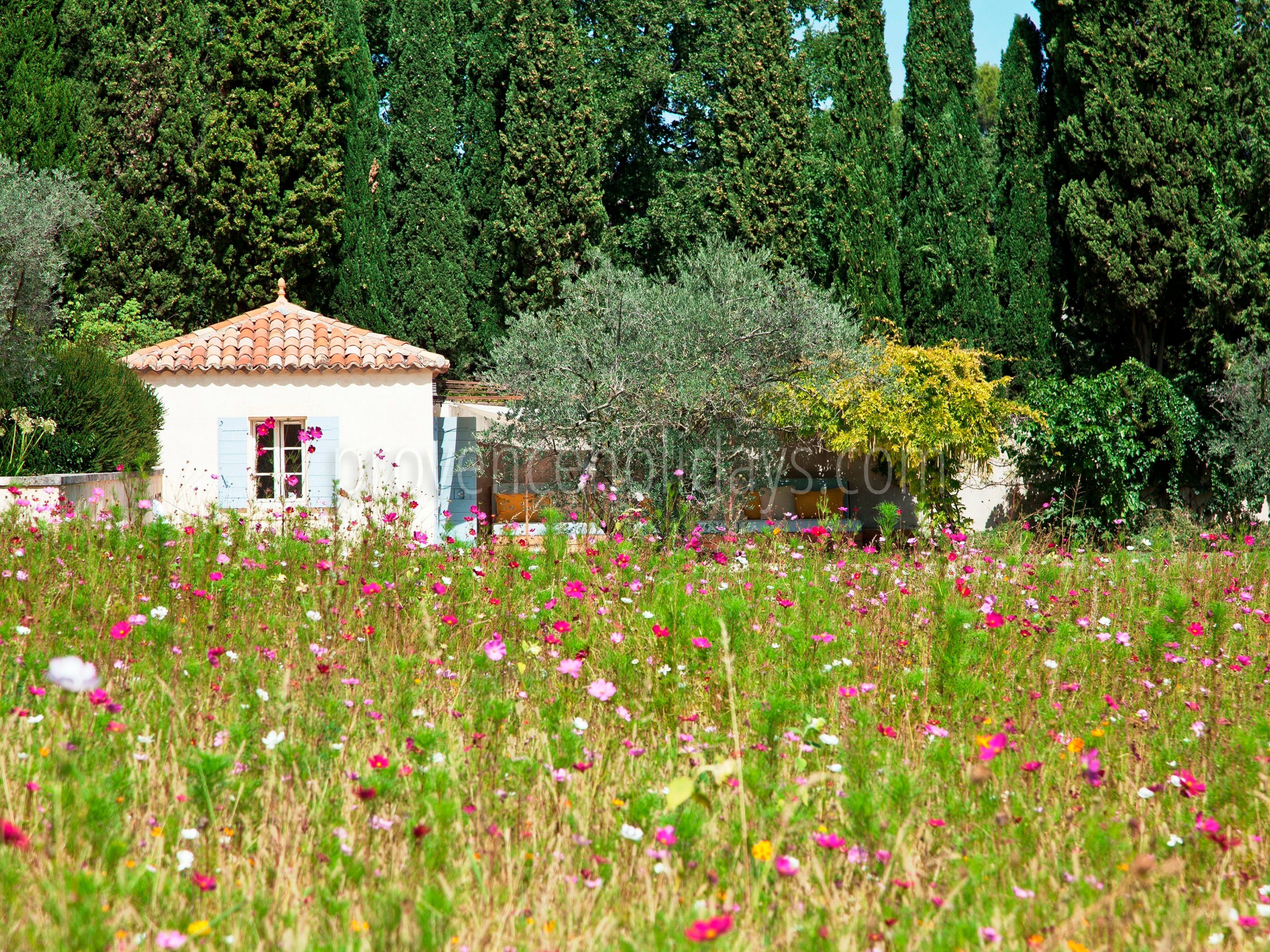 18 - Mas Provence: Villa: Exterior