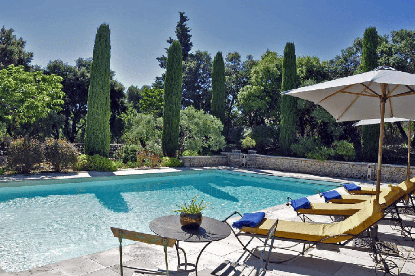 8 - Mas des Papillons: Villa: Pool