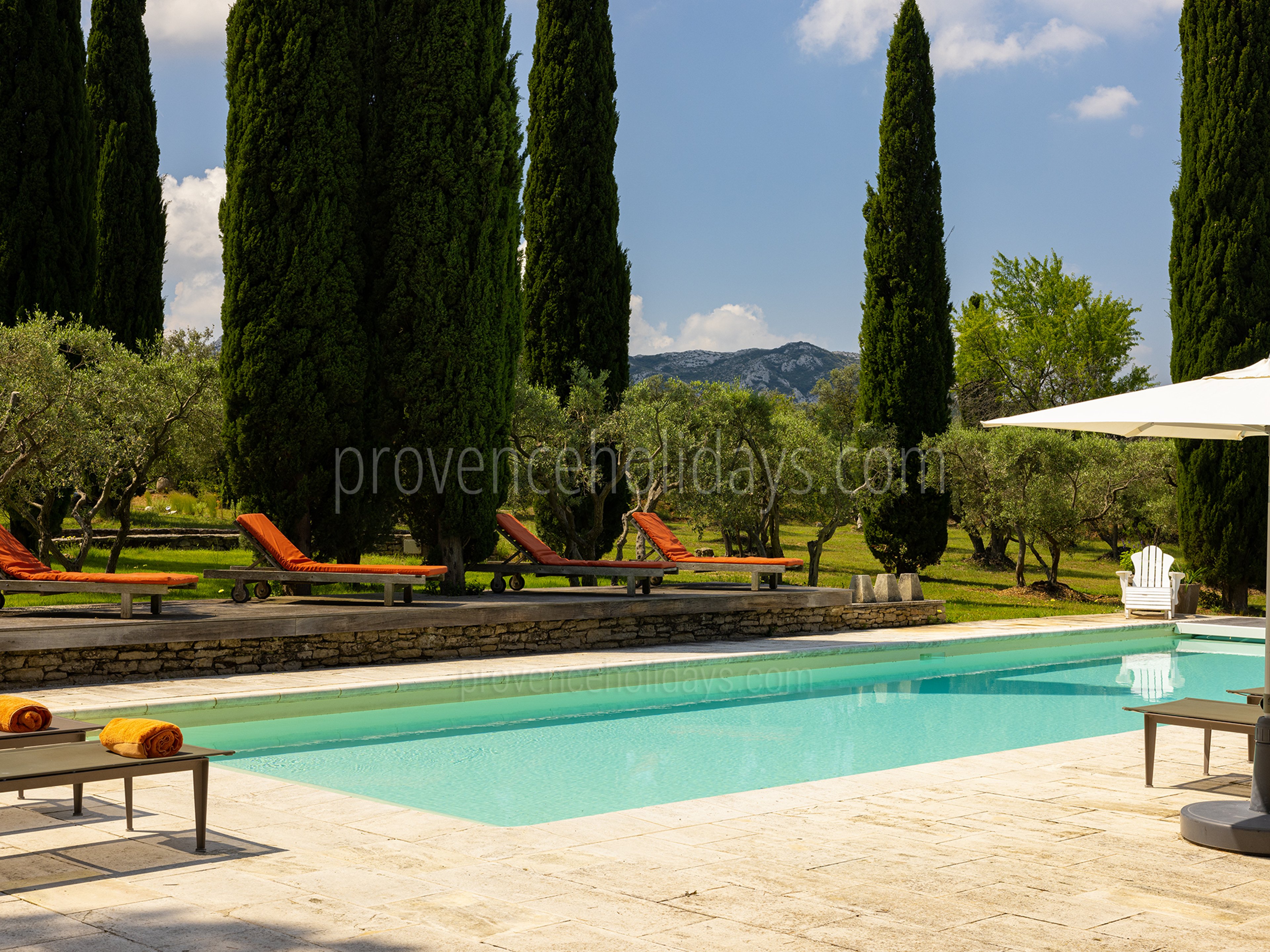 39 - Mas de Tournesol: Villa: Pool