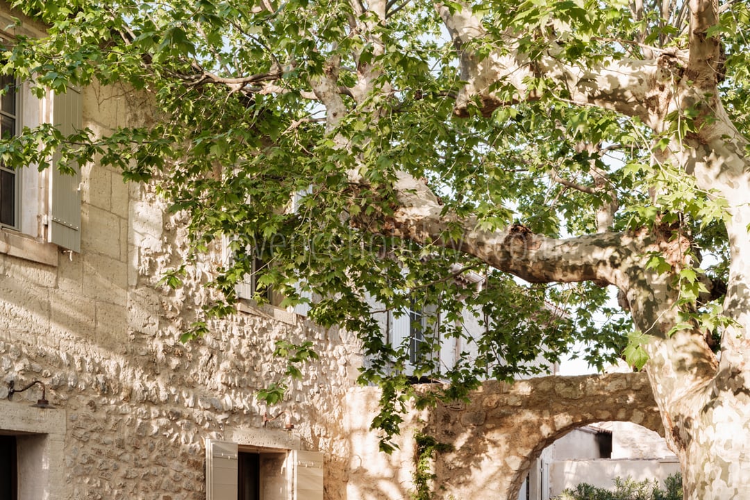 12 - Mas des Oliviers: Villa: Exterior