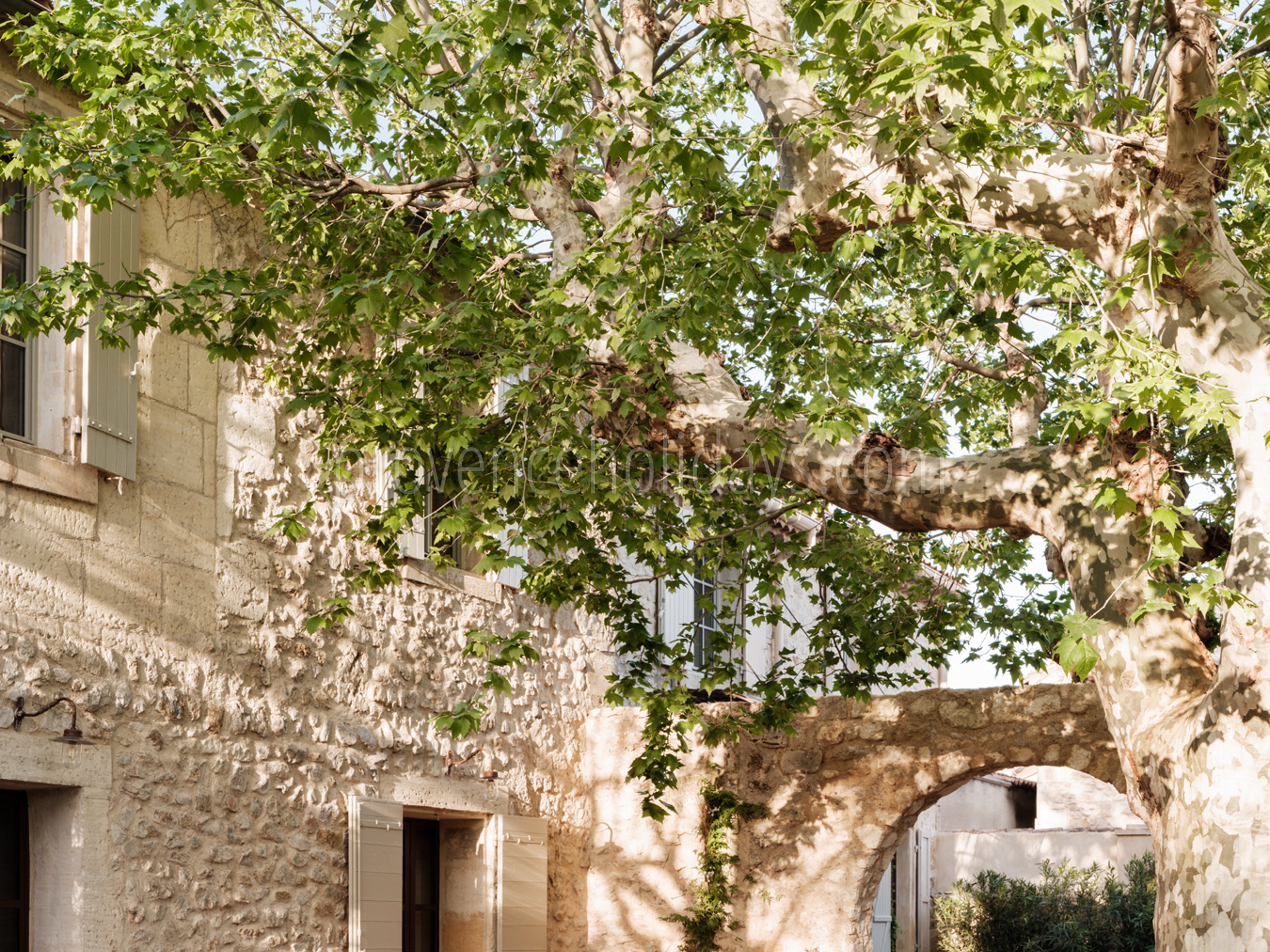 12 - Mas des Oliviers: Villa: Exterior
