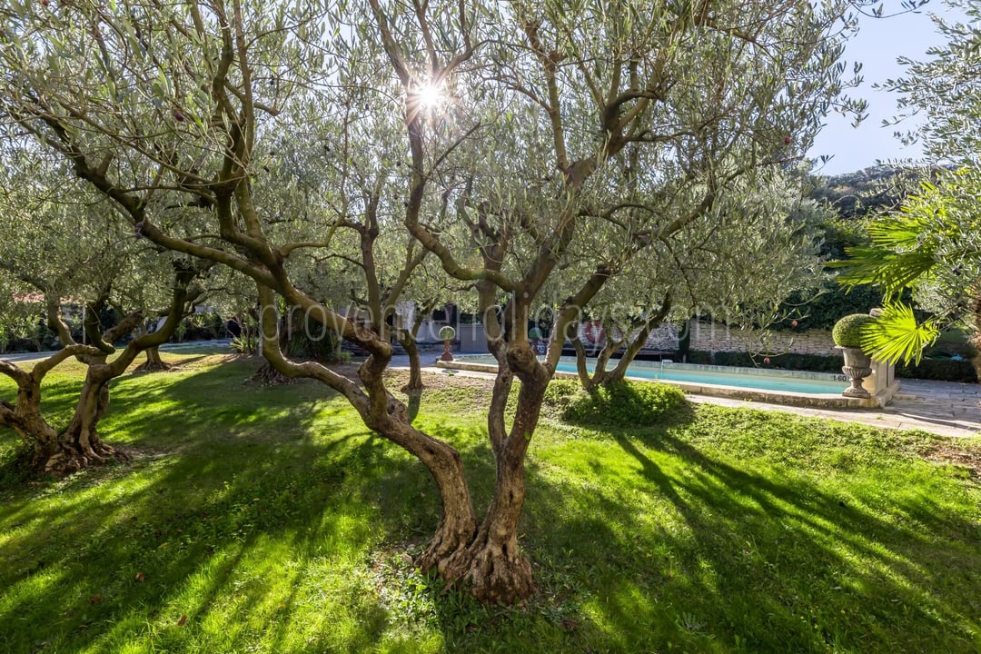 9 - Stone bastide in Cavaillon: Villa: Exterior
