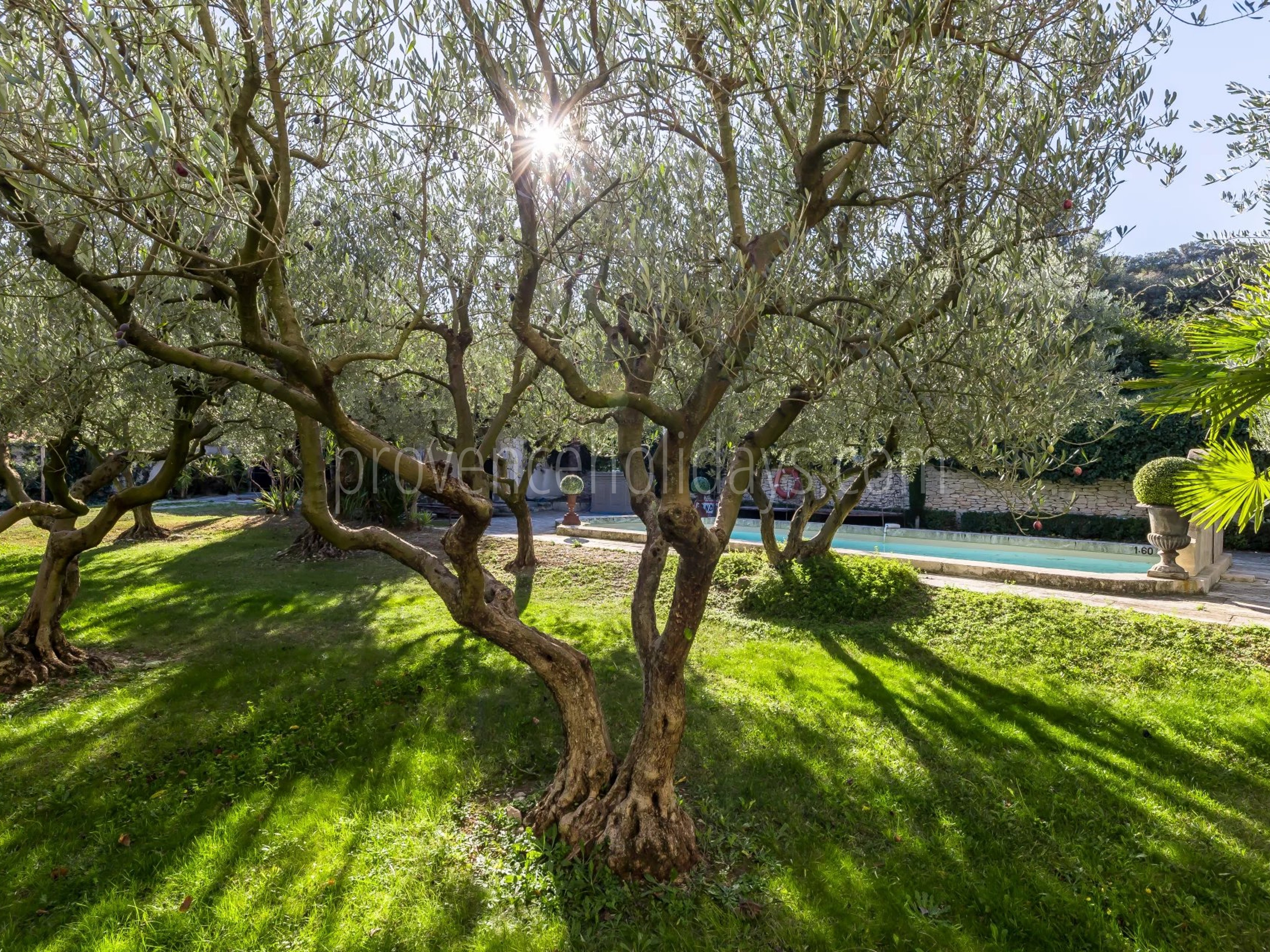 9 - Stone bastide in Cavaillon: Villa: Exterior