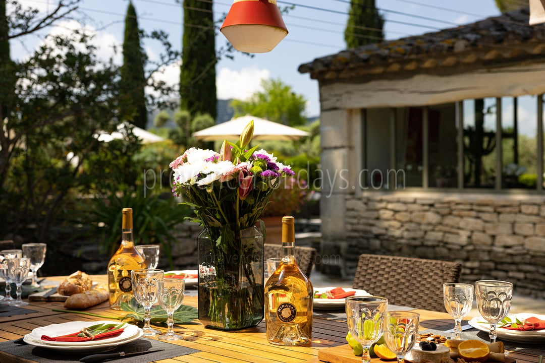 32 - Mas de Tournesol: Villa: Exterior