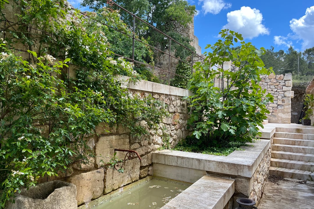 57 - Mas des Baux: Villa: Exterior