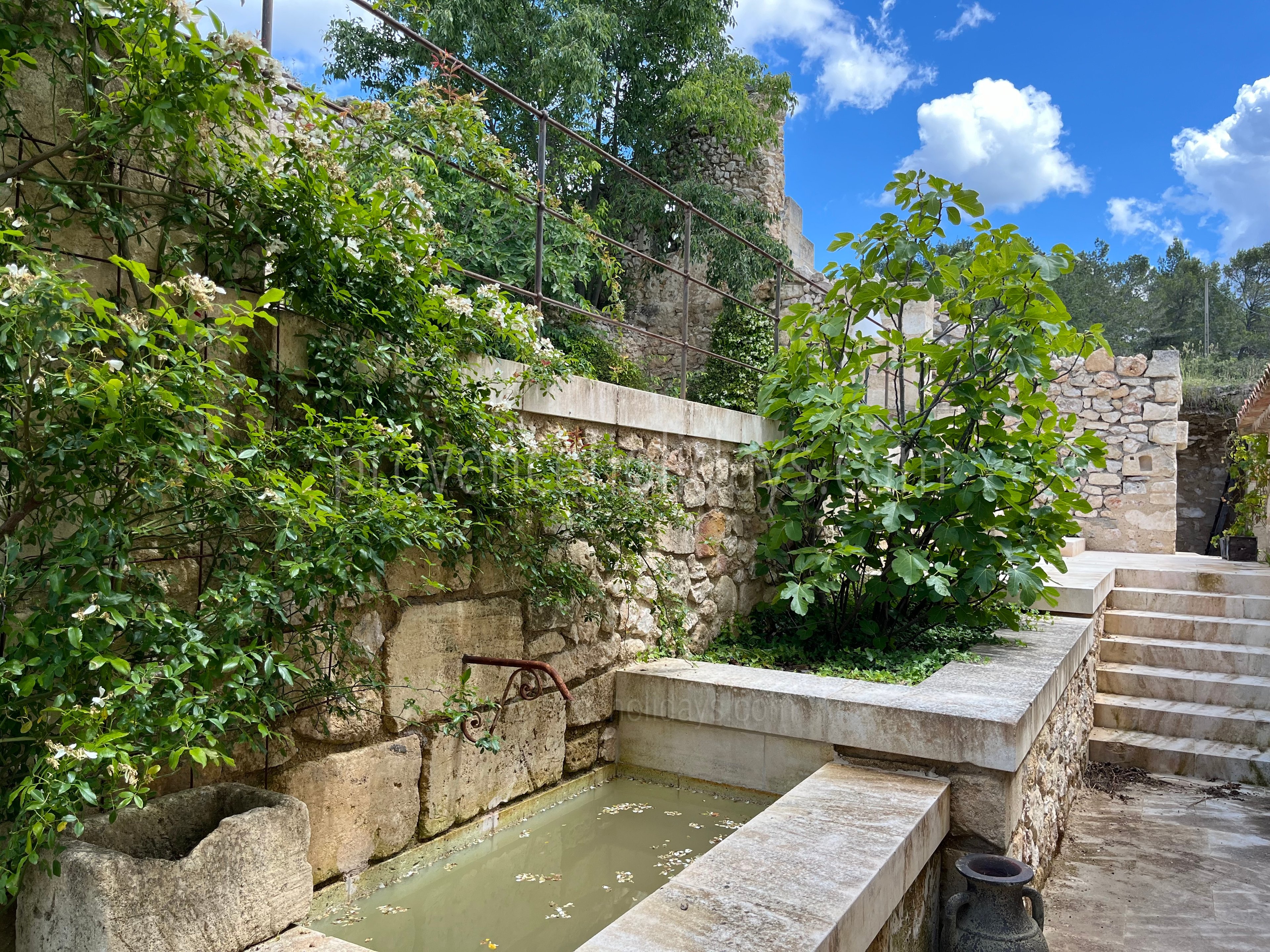 57 - Mas des Baux: Villa: Exterior