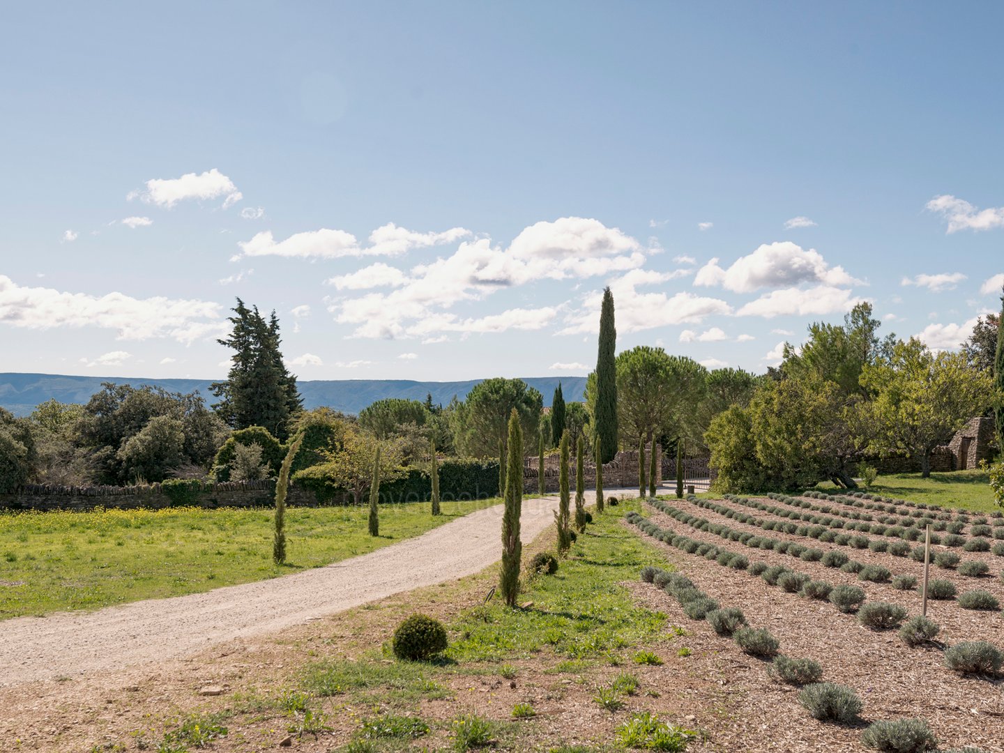 49 - Domaine des Lys: Villa: Exterior