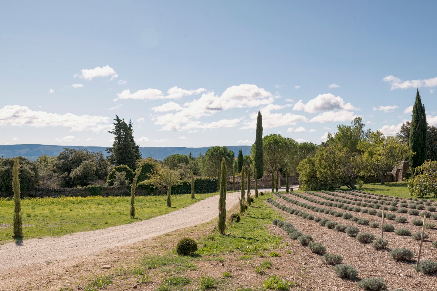 49 - Domaine des Lys: Villa: Exterior