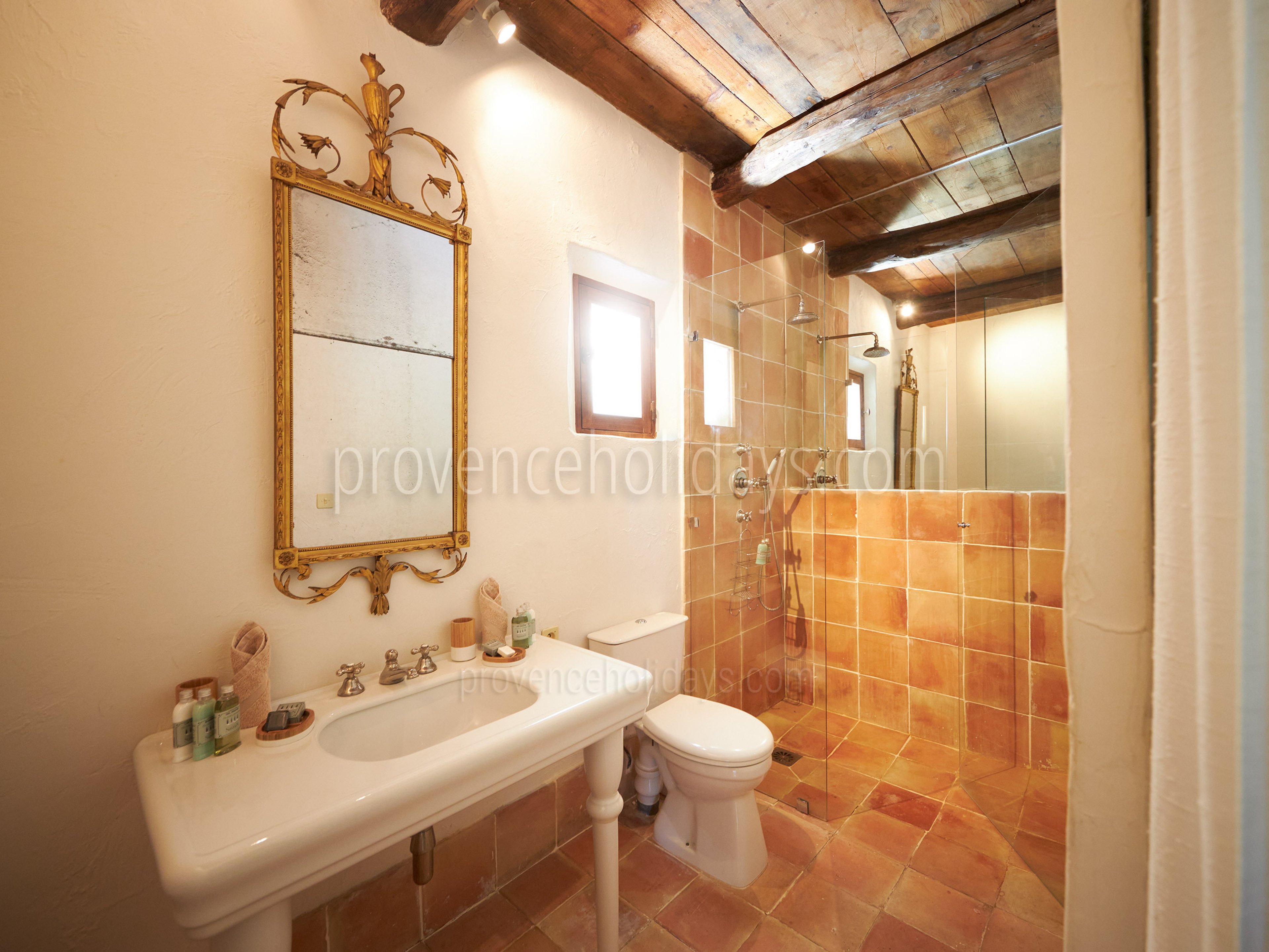 113 - Domaine de Luberon: Villa: Bathroom