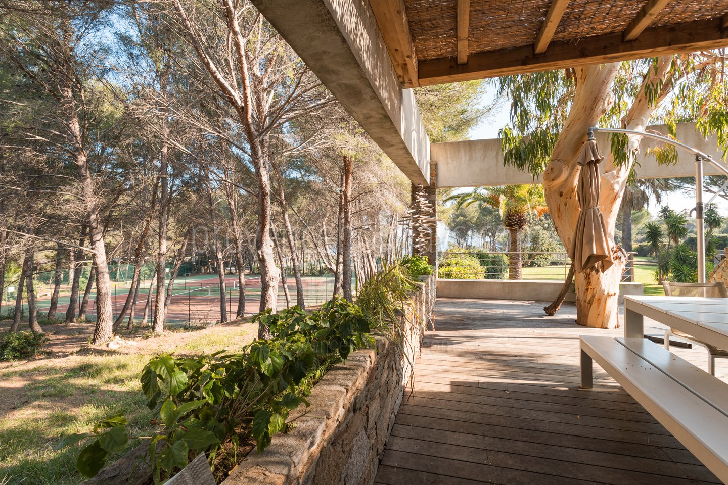 21 - Villa Mimosas: Villa: Exterior