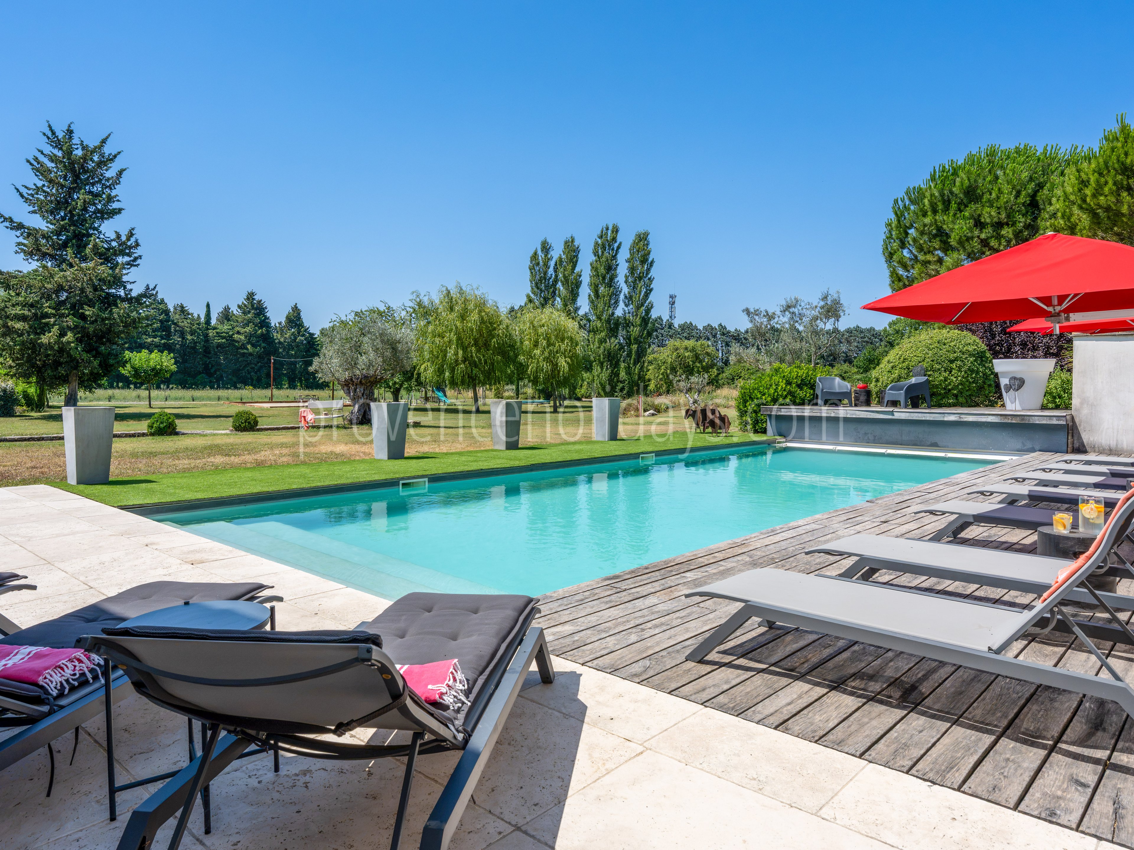 88 - Mas des Vignes: Villa: Pool