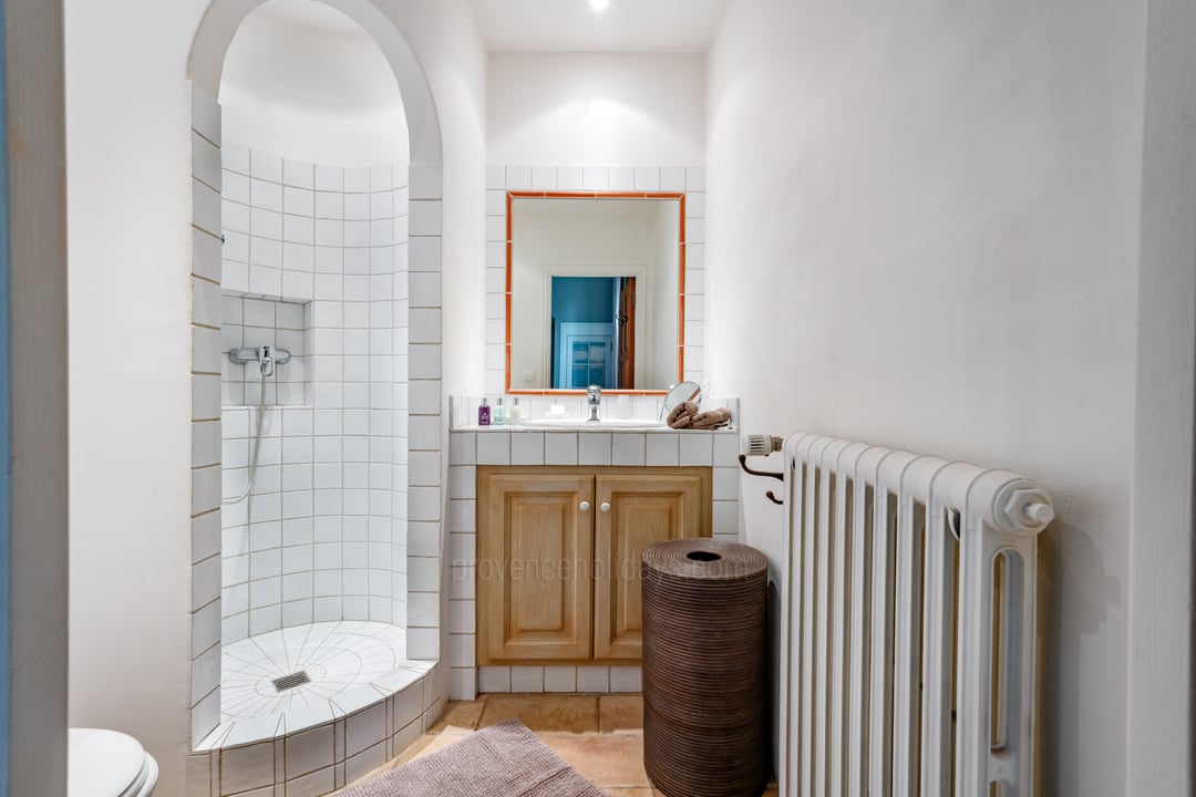 41 - Domaine de Provence: Villa: Bathroom