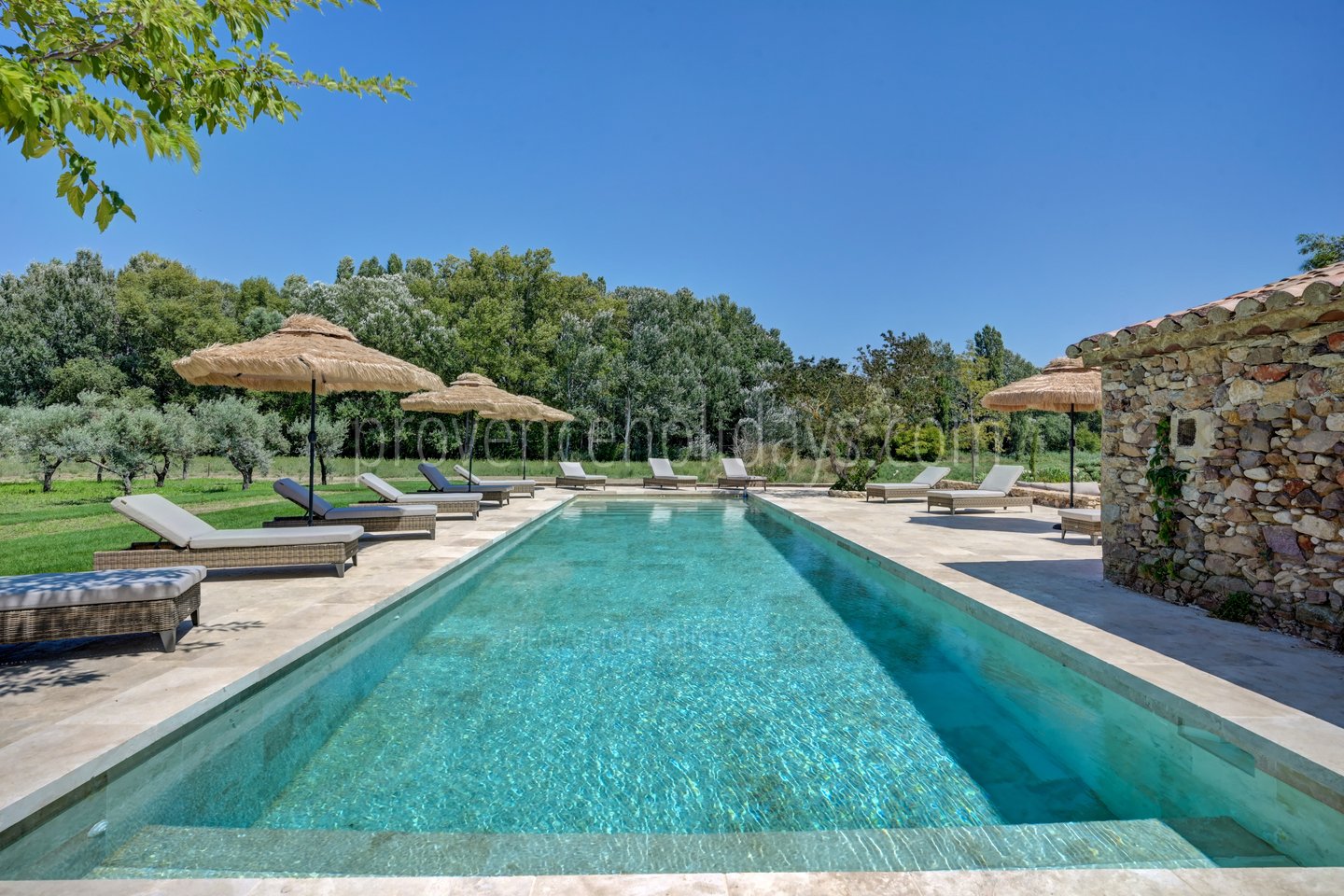 6 - Le Mas de Prestige: Villa: Pool