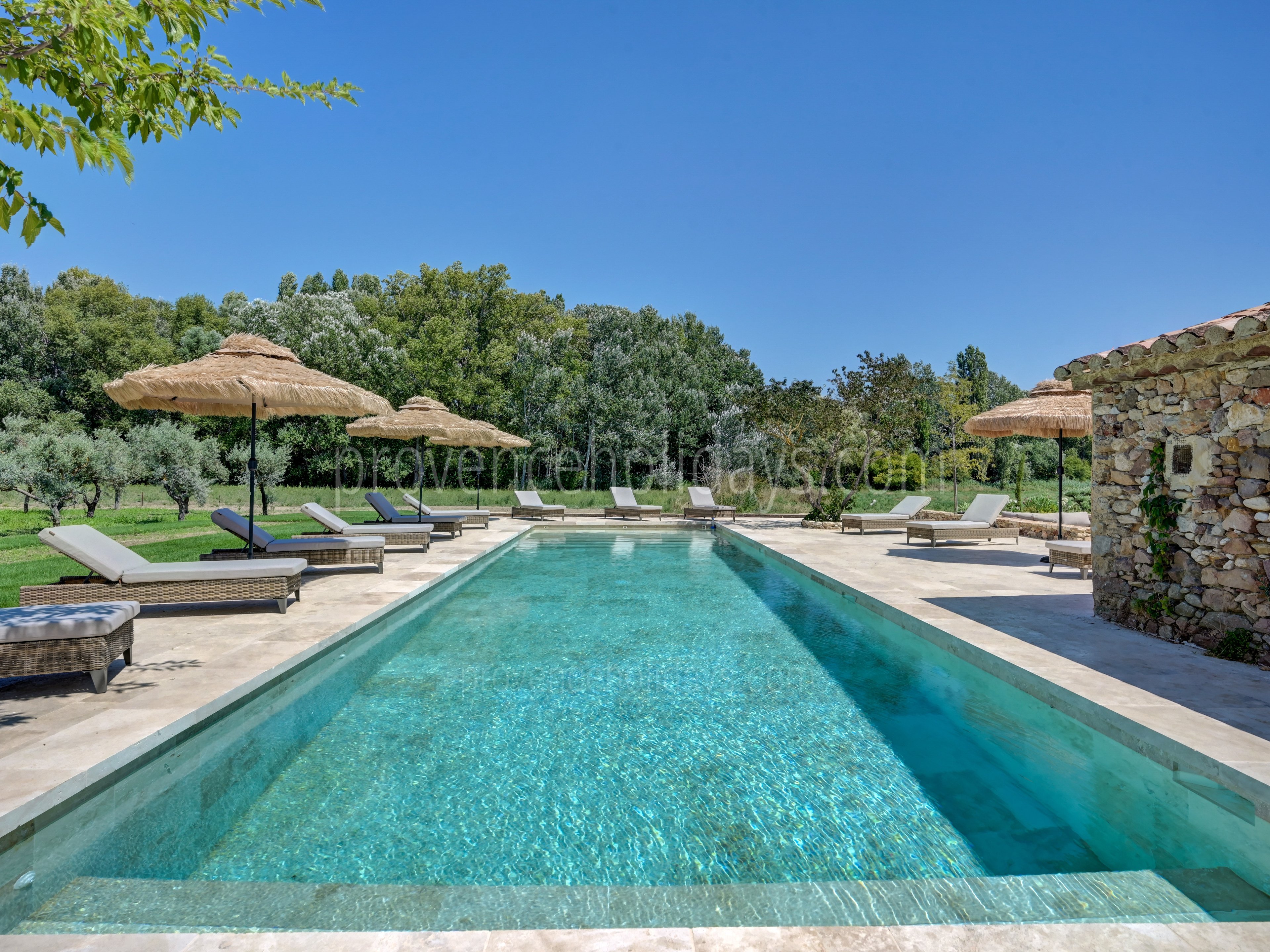 6 - Le Mas de Prestige: Villa: Pool