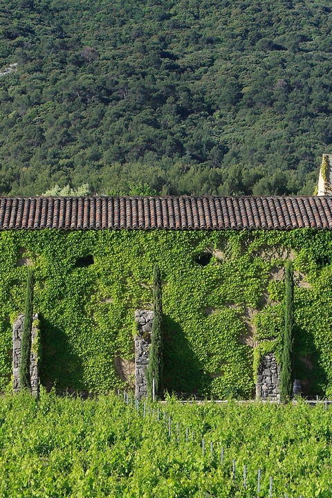 Domaine de Marie Wine Estate