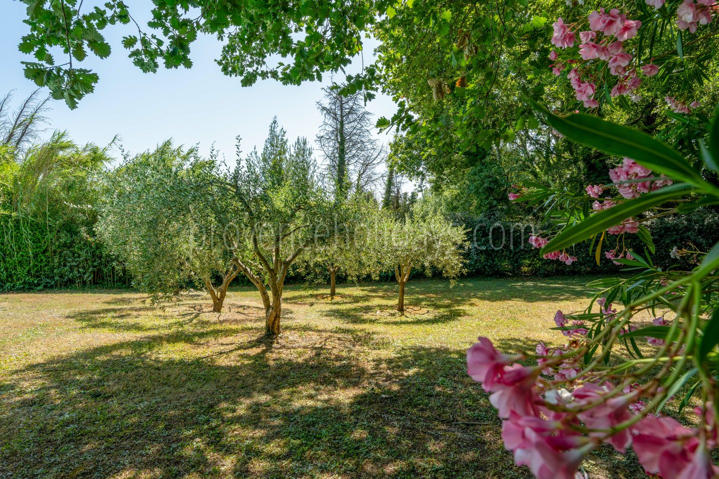 18 - Villa des Alpines: Villa: Exterior