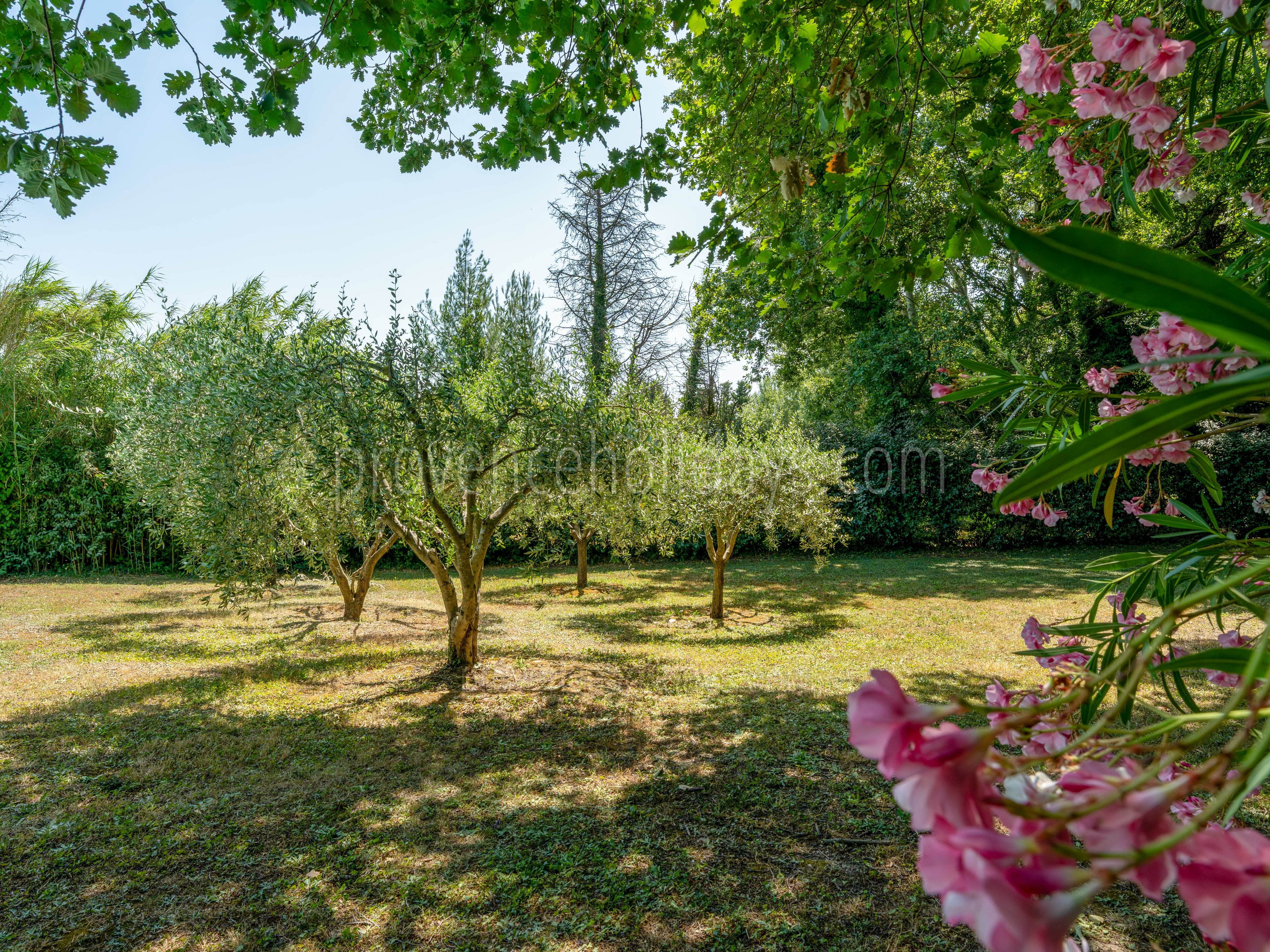 18 - Villa des Alpines: Villa: Exterior