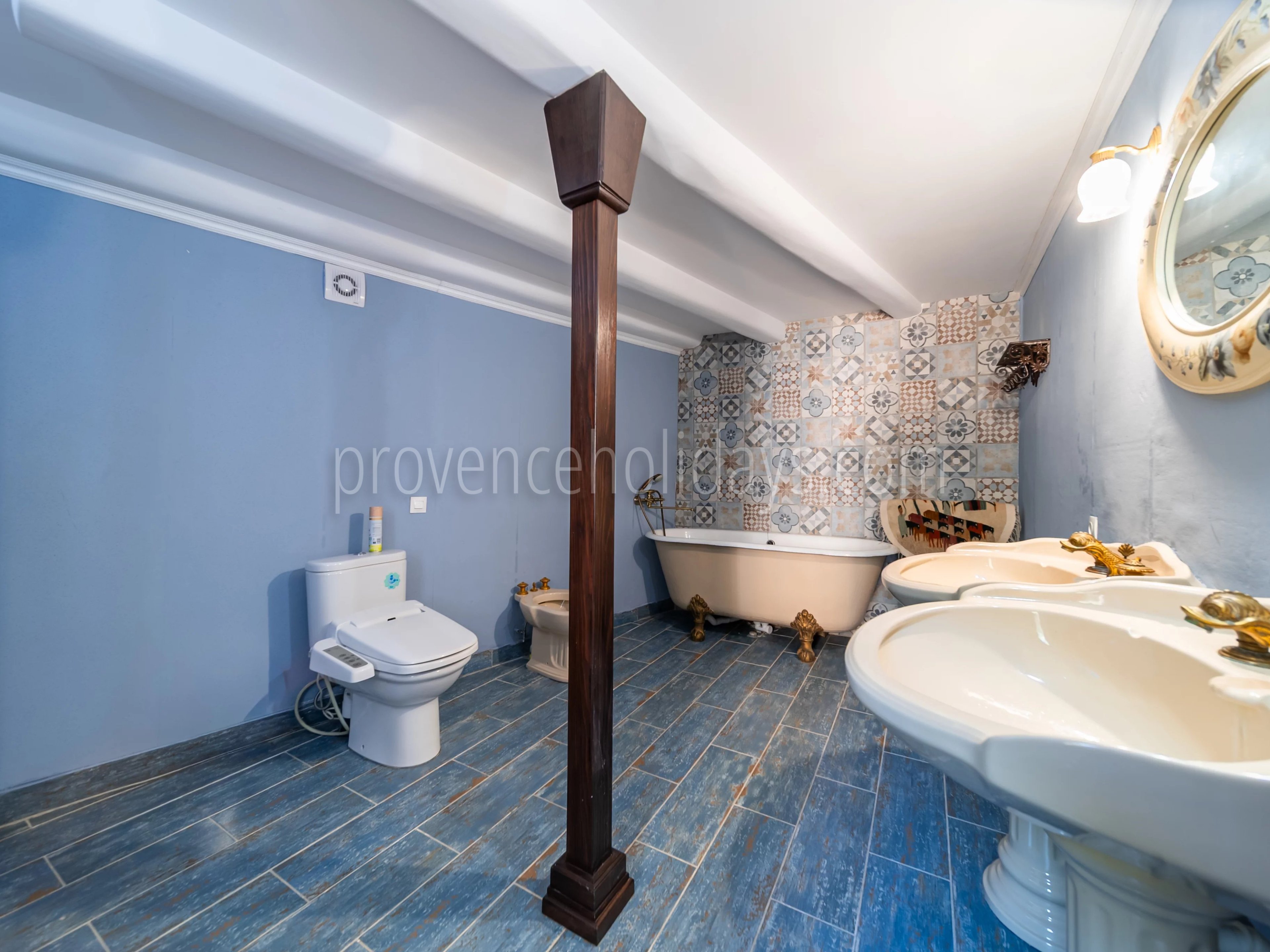 18 - Character estate in Cucuron: Villa: Bathroom