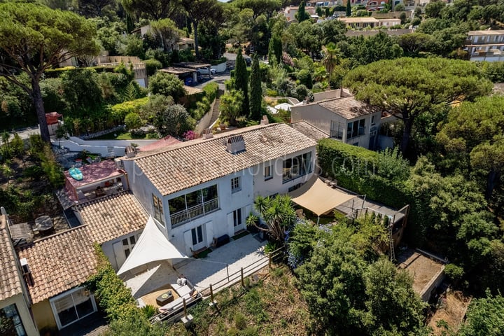 4 - Quiet house in Gassin: Villa: Exterior
