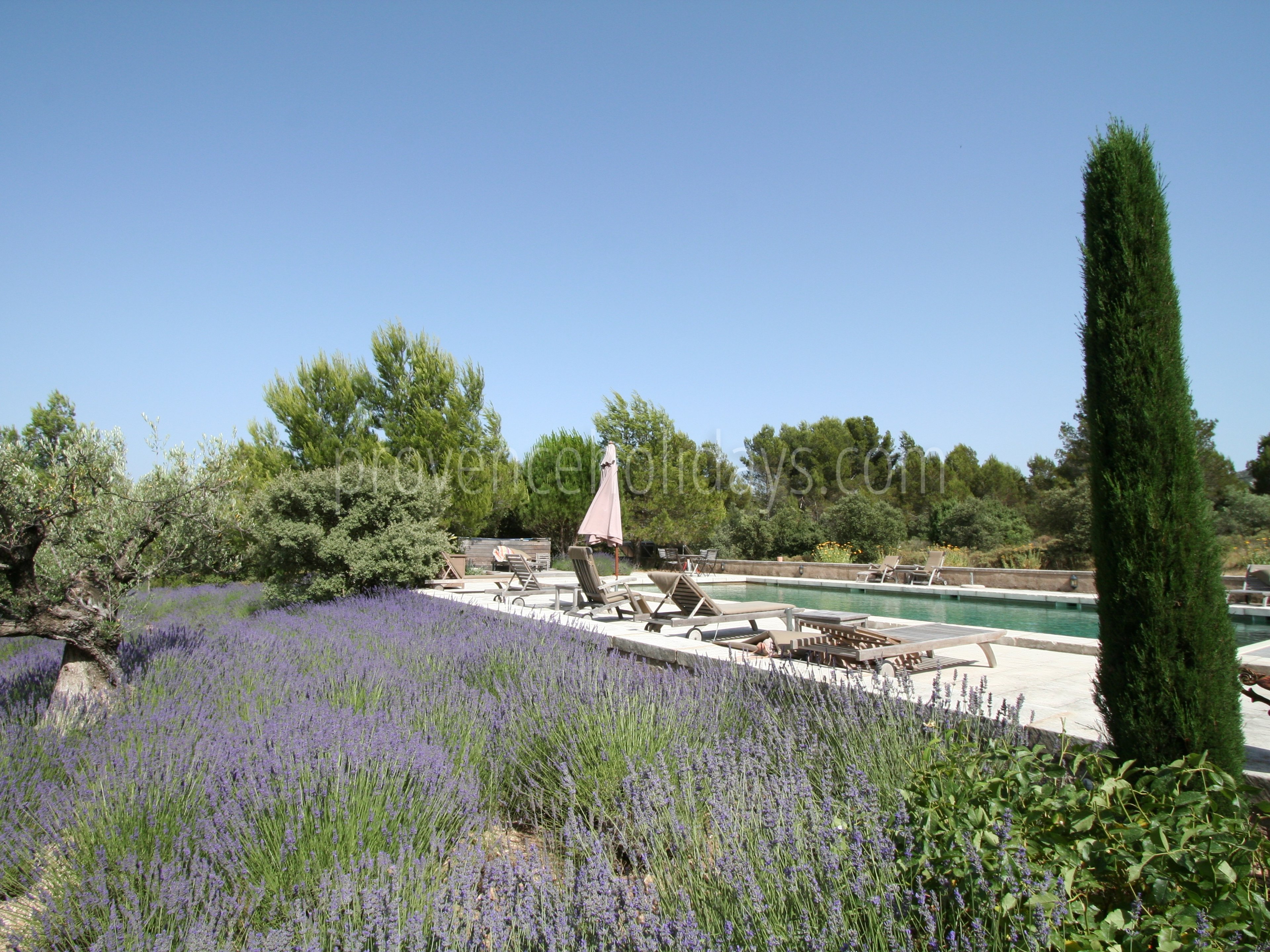 35 - Le Mas des Lavandes: Villa: Exterior