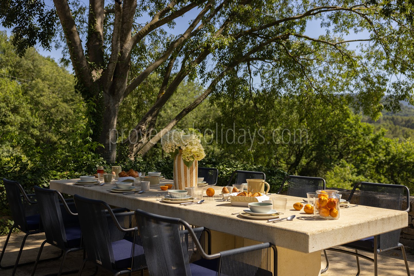 9 - Grand Mas de Provence: Villa: Exterior