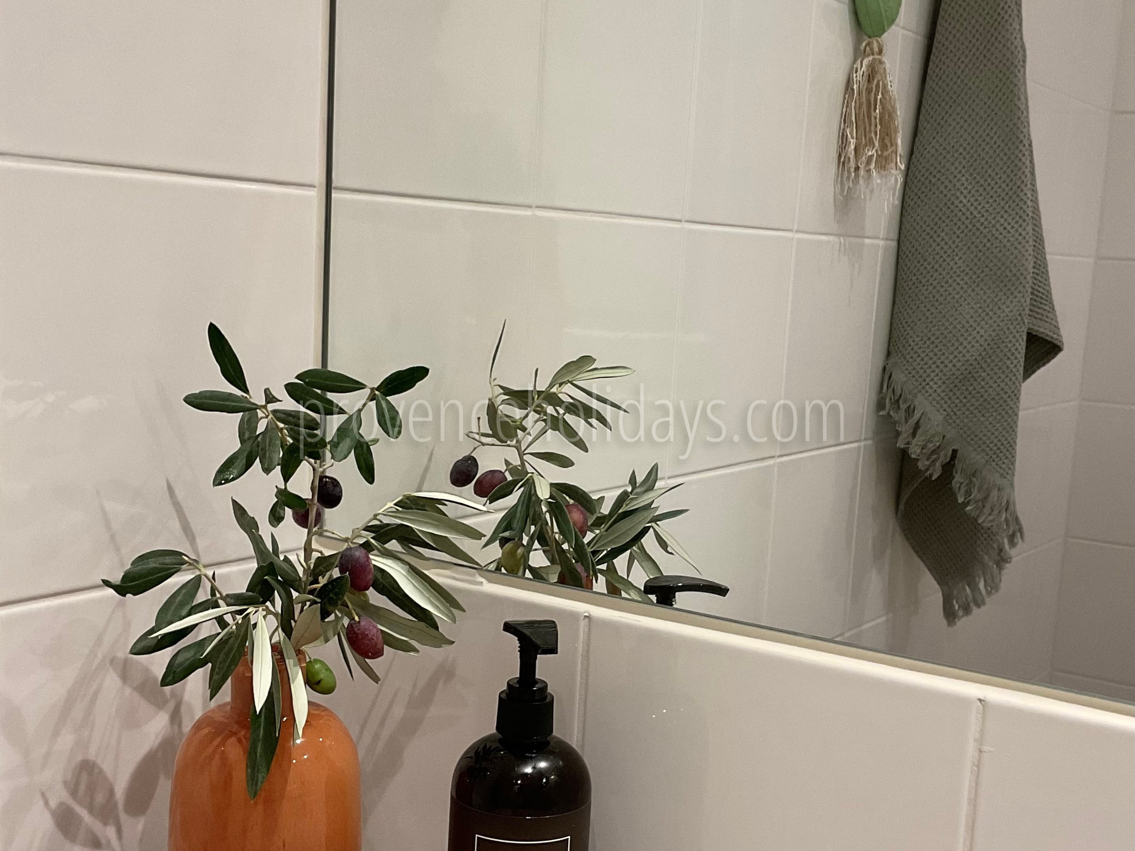 12 - Villa Orso: Villa: Bathroom