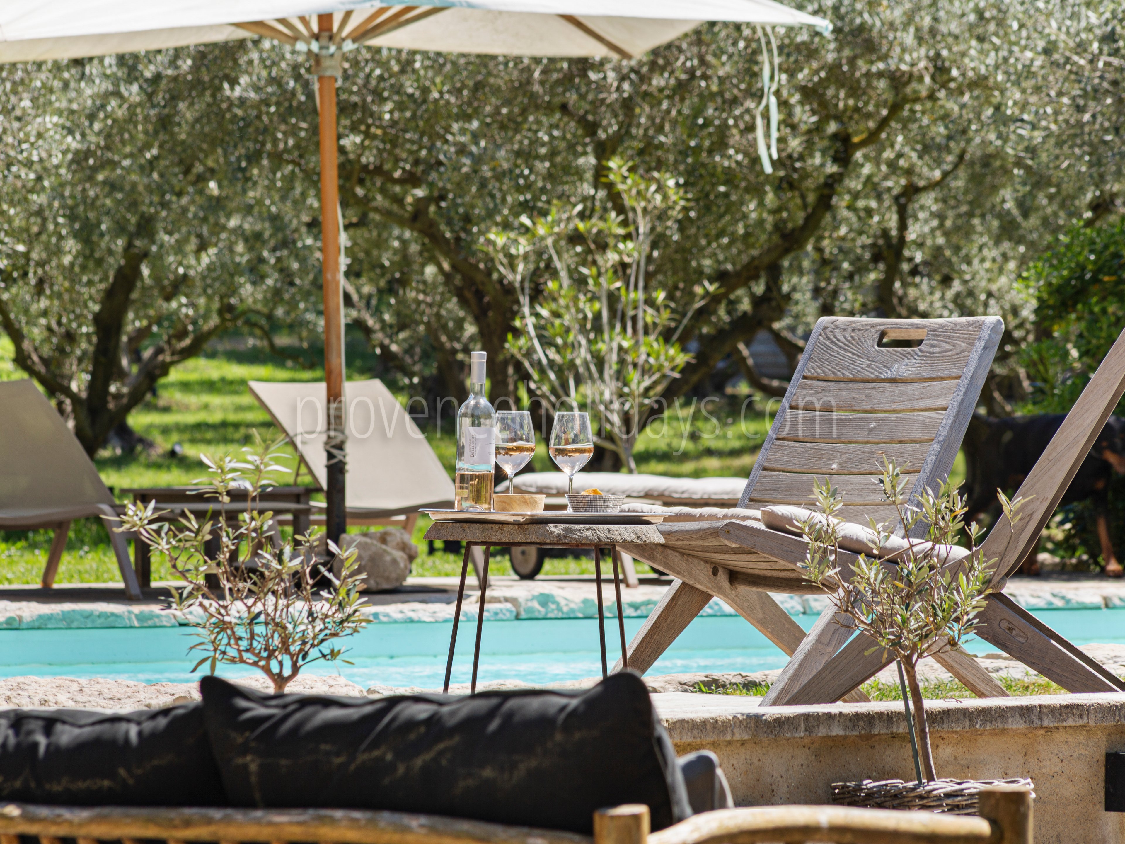 4 - Mazet Olea: Villa: Pool