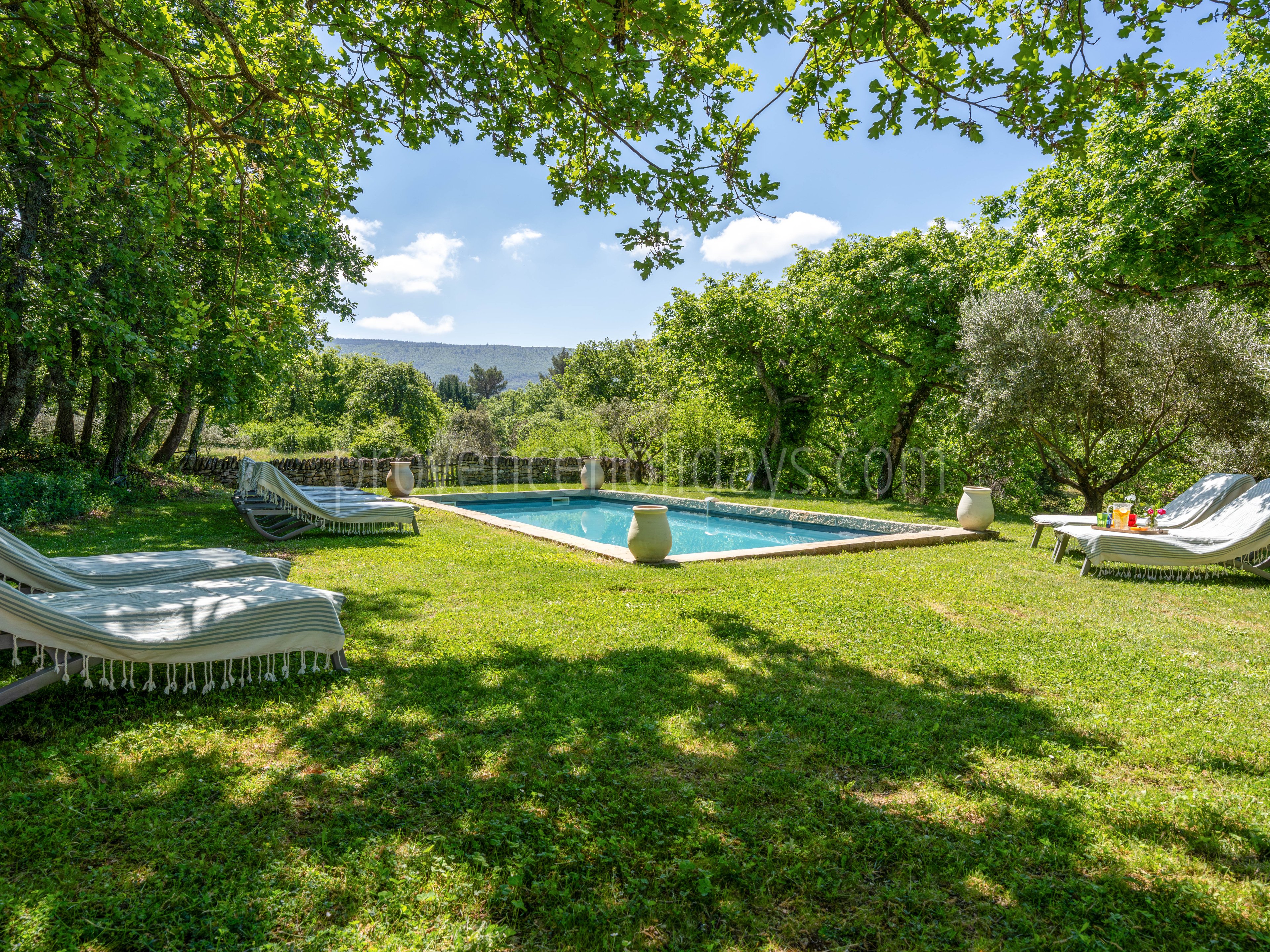 58 - Les Oliviers: Villa: Pool