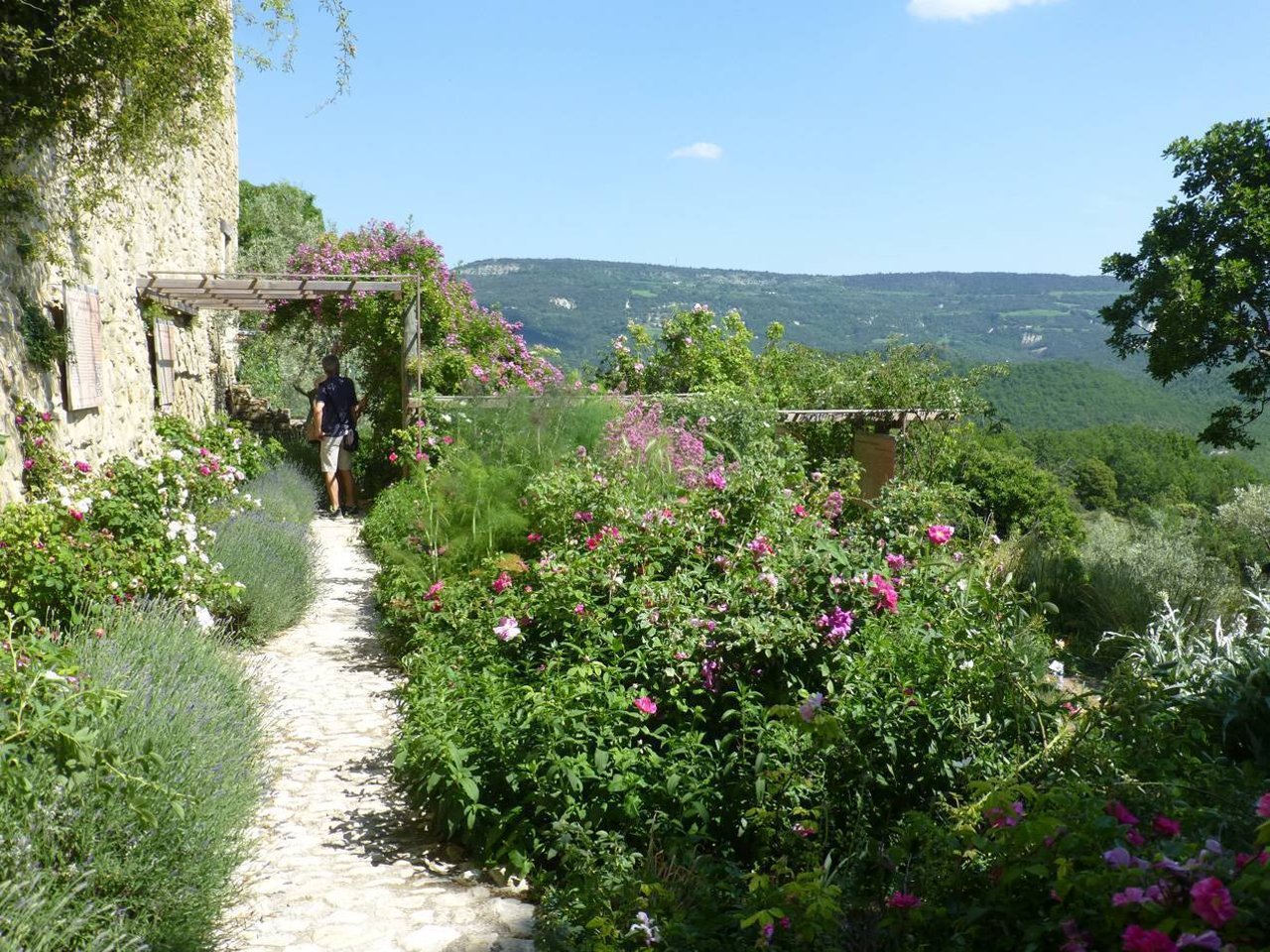 garden provence