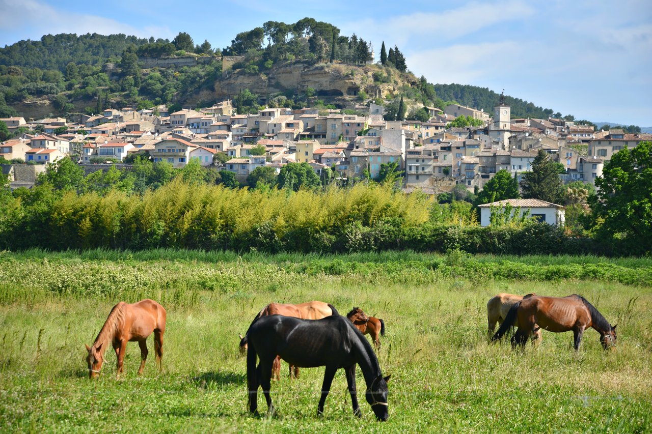 Cadenet